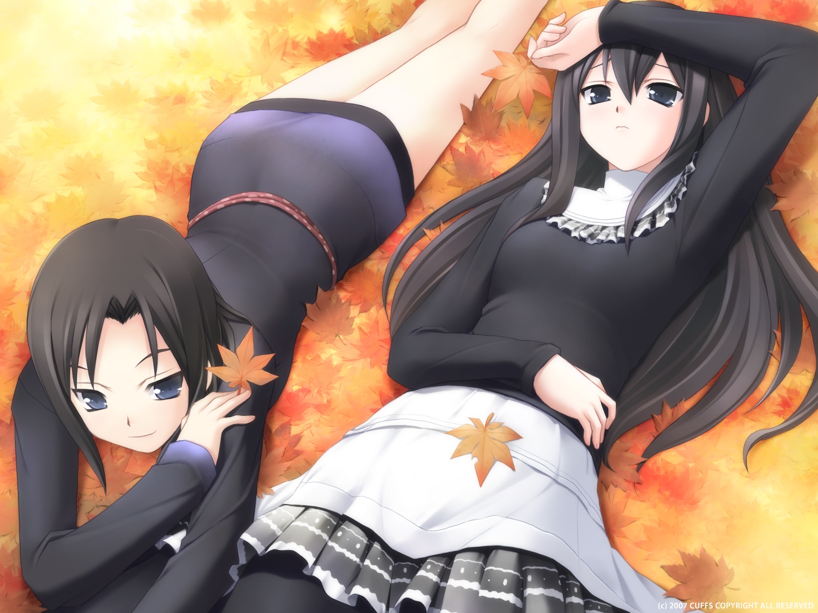 black_hair, blue_eyes, cuffs_(studio), garden_(galge), kasuga_nadeshiko, kasuga_sakurako, long_hair, short_hair