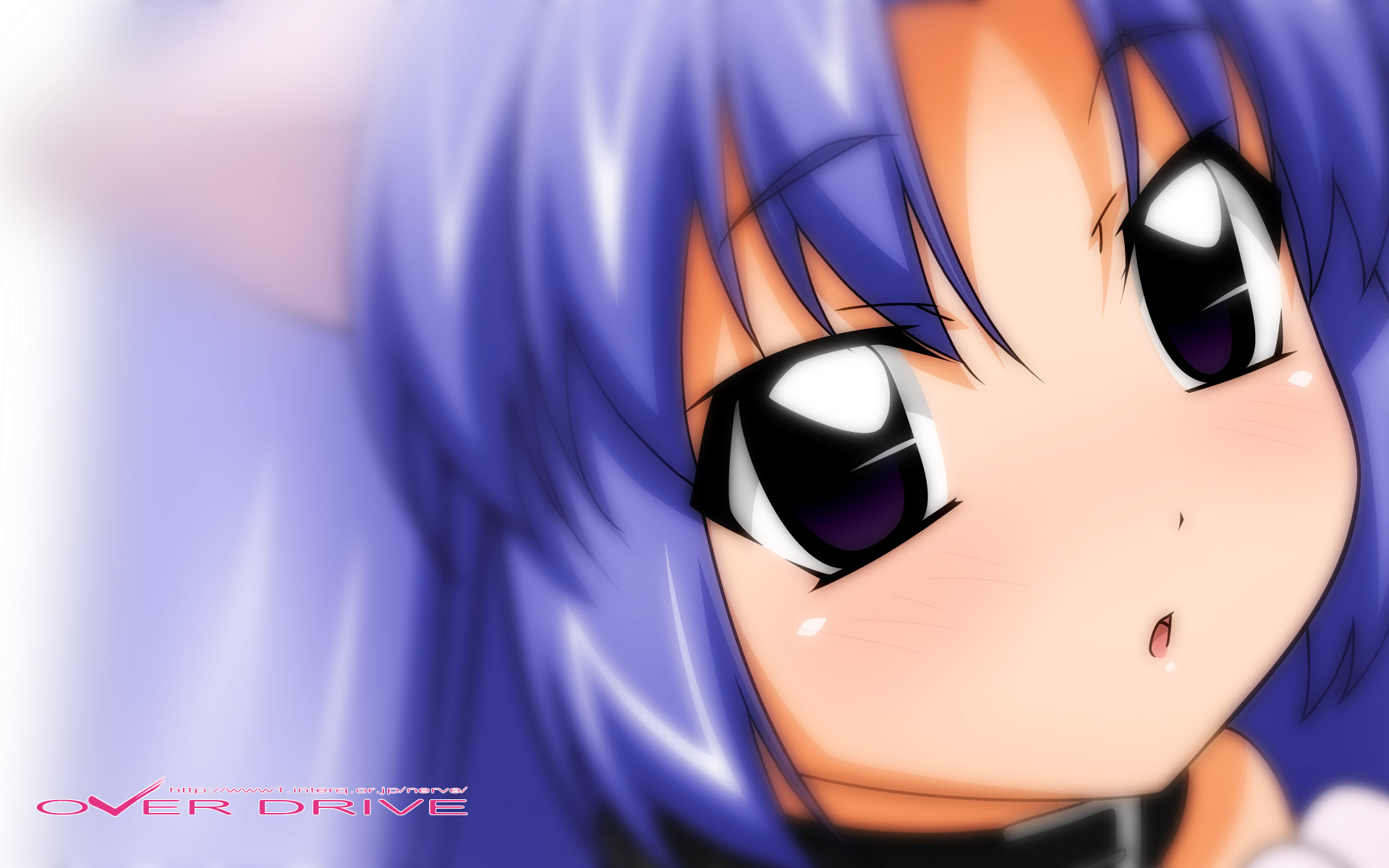 animal_ears, blue_hair, catgirl, collar, lost_universe, over_drive, purple_eyes, sugimura_tomokazu