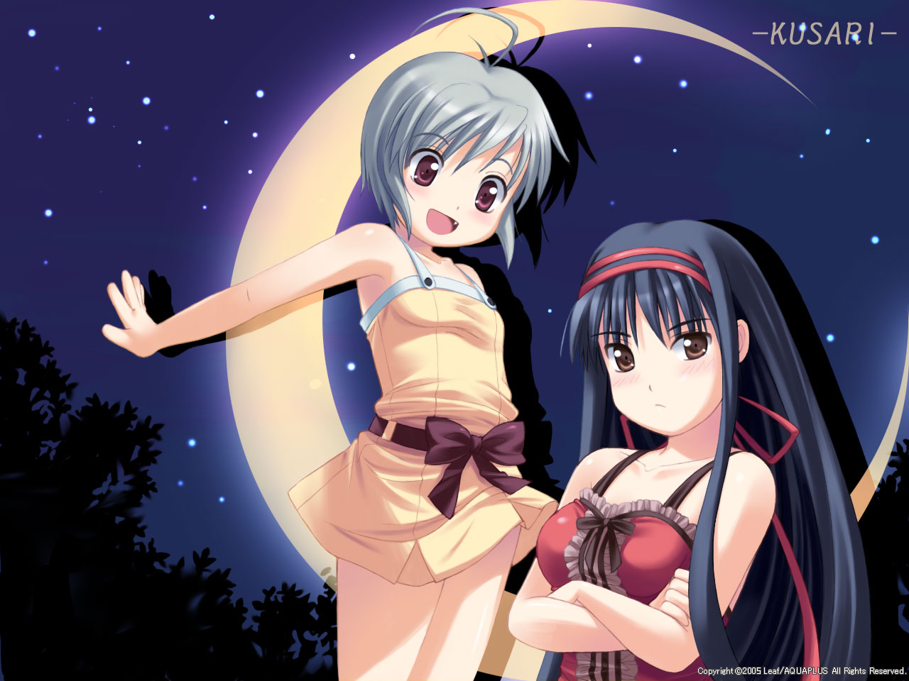 ayanobe_karen, ayanobe_tamami, blue_hair, brown_eyes, gray_eyes, kusari, leaf