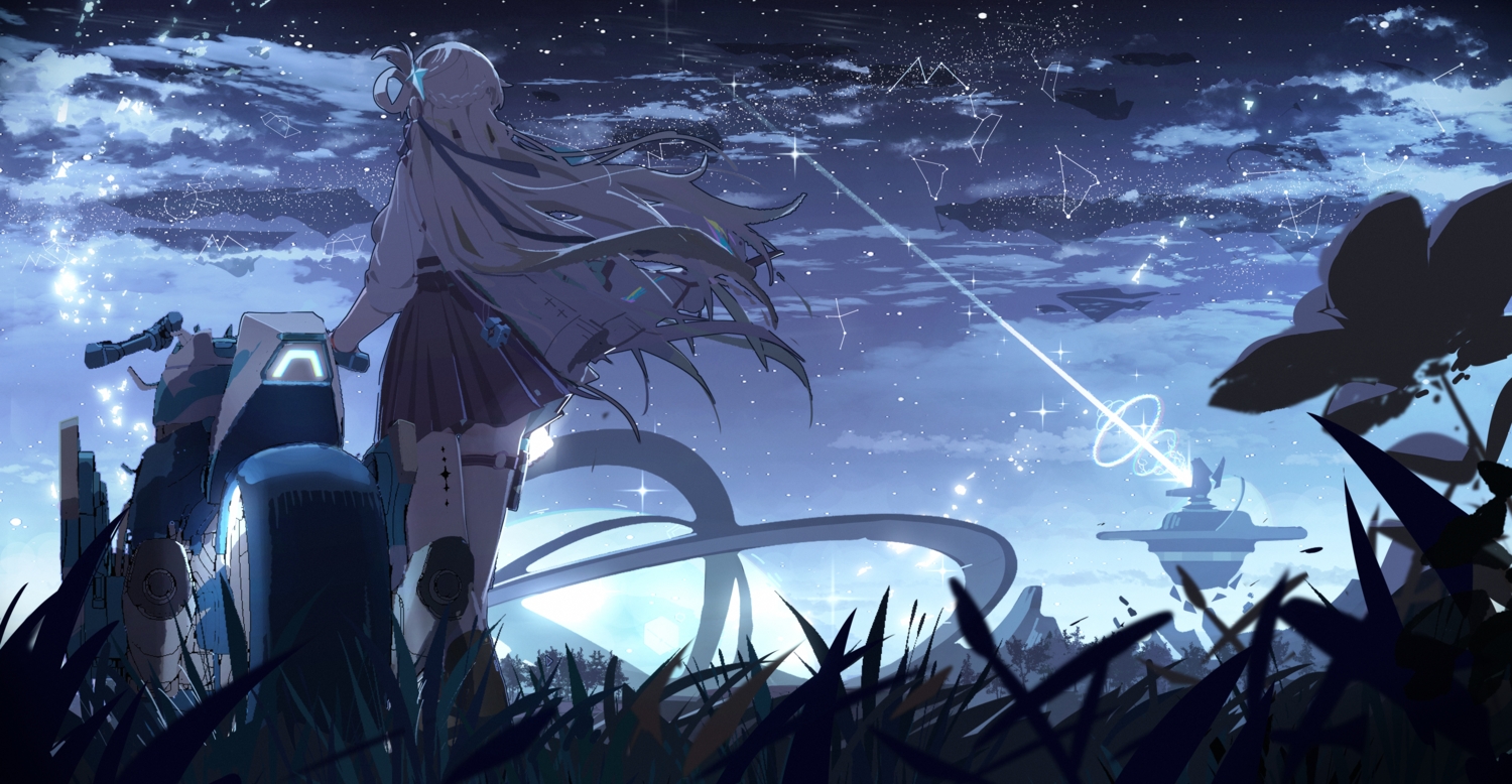 blonde_hair, braids, clouds, dark, flowers, garter, grass, long_hair