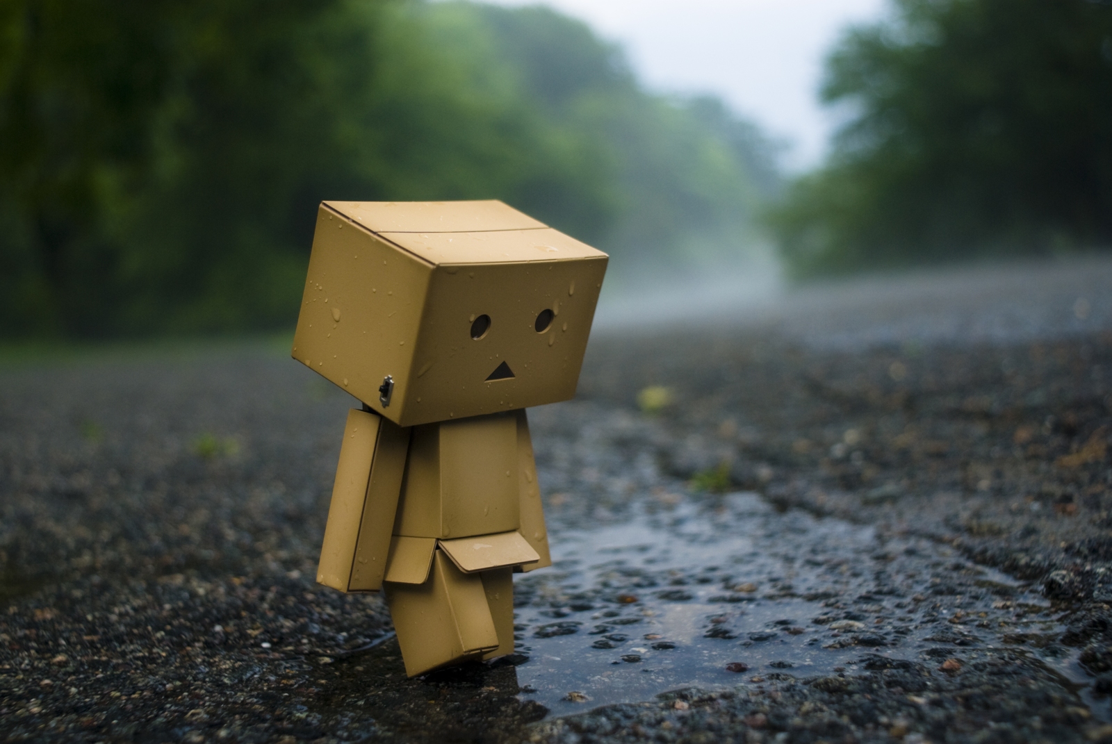 calonyr11, danboo, figure, photo, yotsubato!