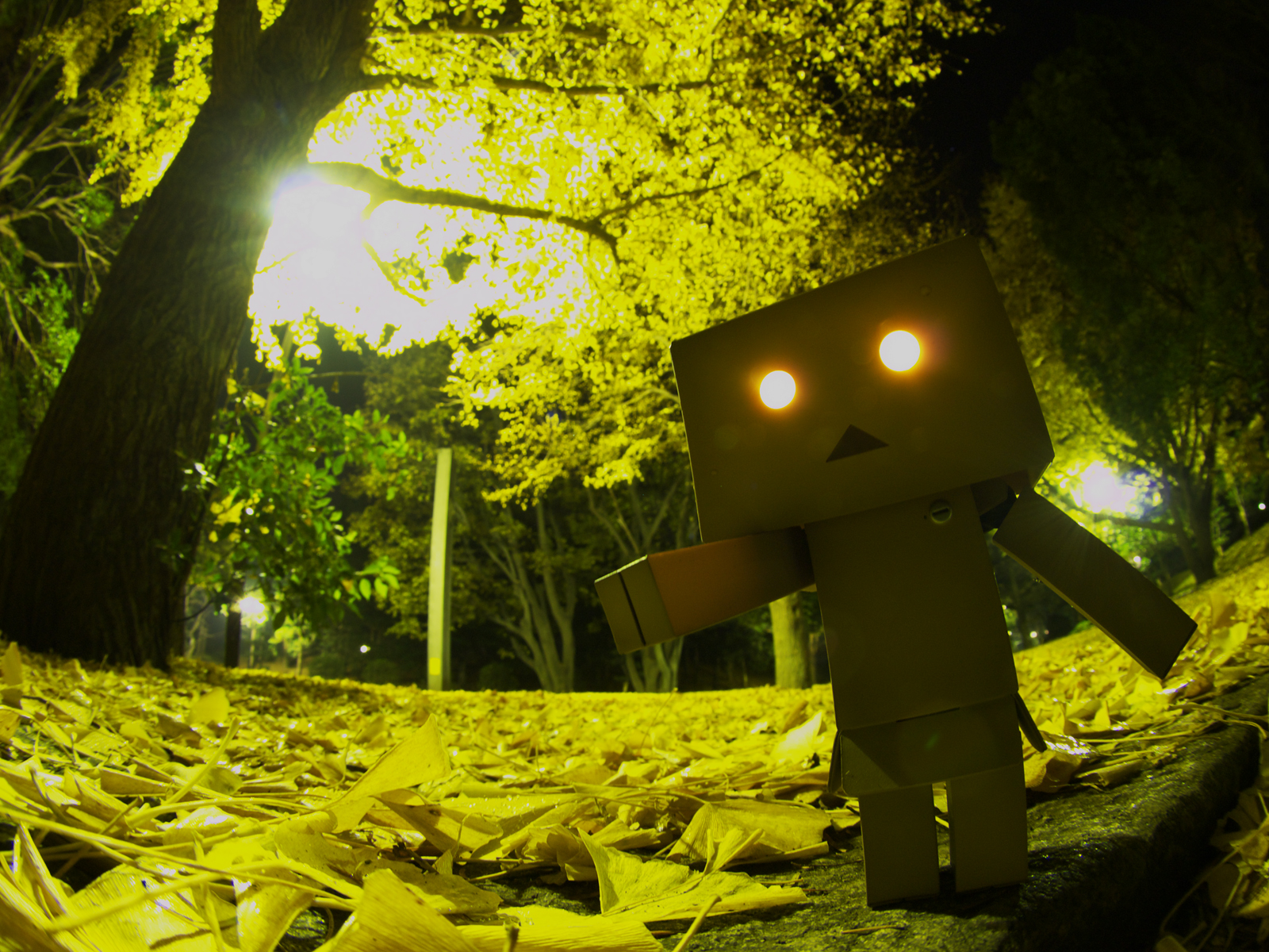 calonyr11, danboo, figure, photo, yotsubato!