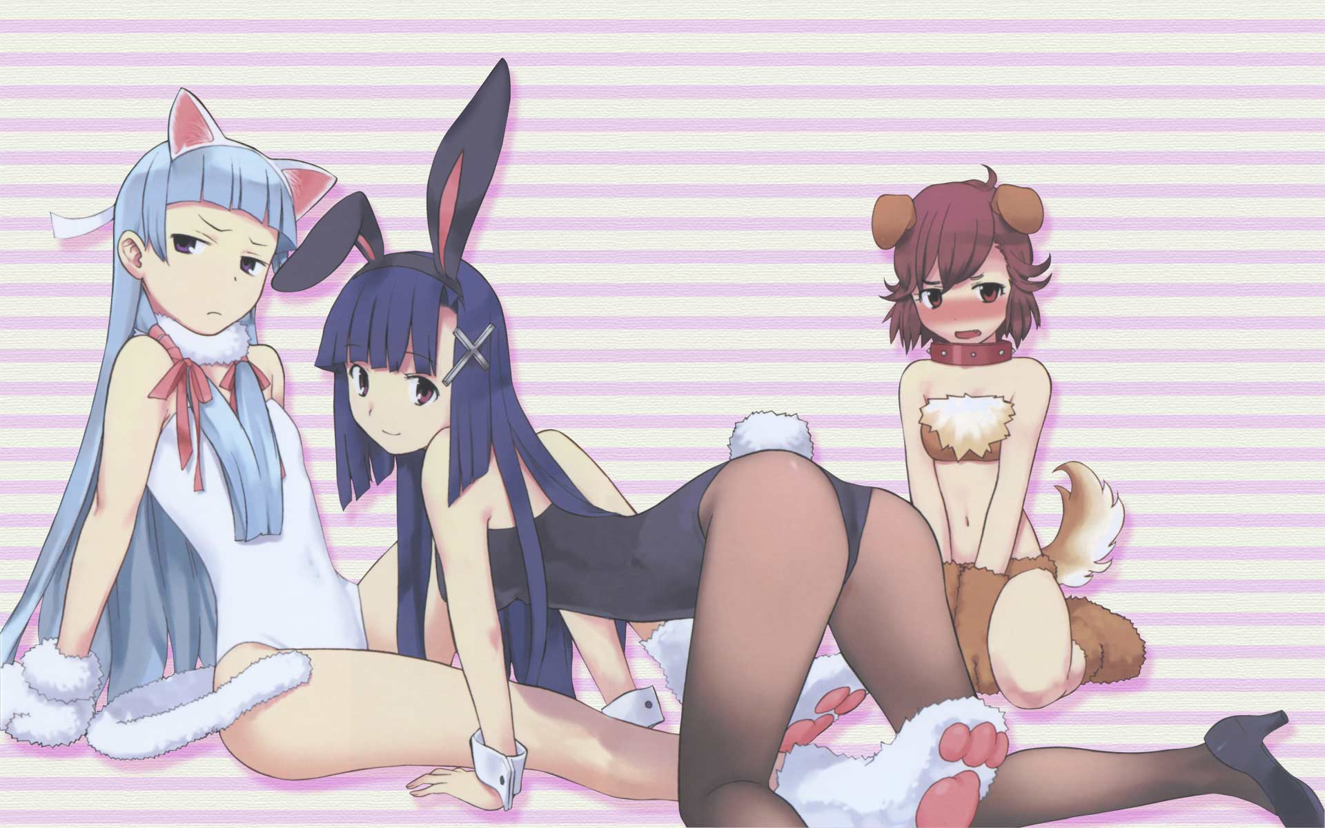 animal_ears, aoba_tsugumi, bunny_ears, bunnygirl, catgirl, doggirl, kannagi_crazy_shrine_maidens, leotard