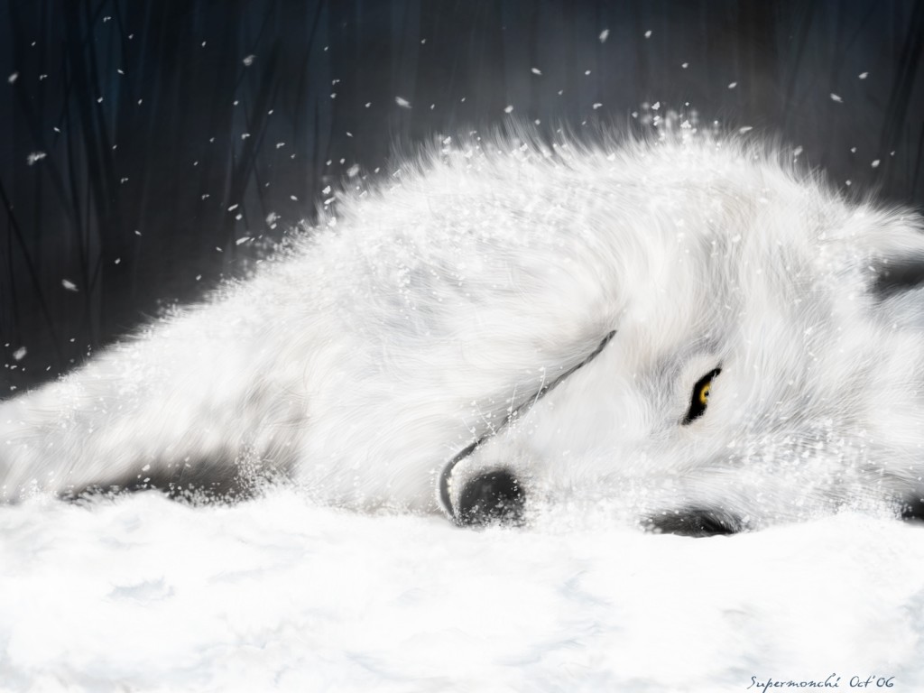 animal, wolf, wolfs_rain