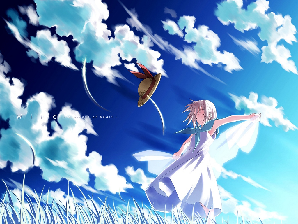 clouds, dress, grass, hat, sky, tsukishiro_hikari, wind:_a_breath_of_heart