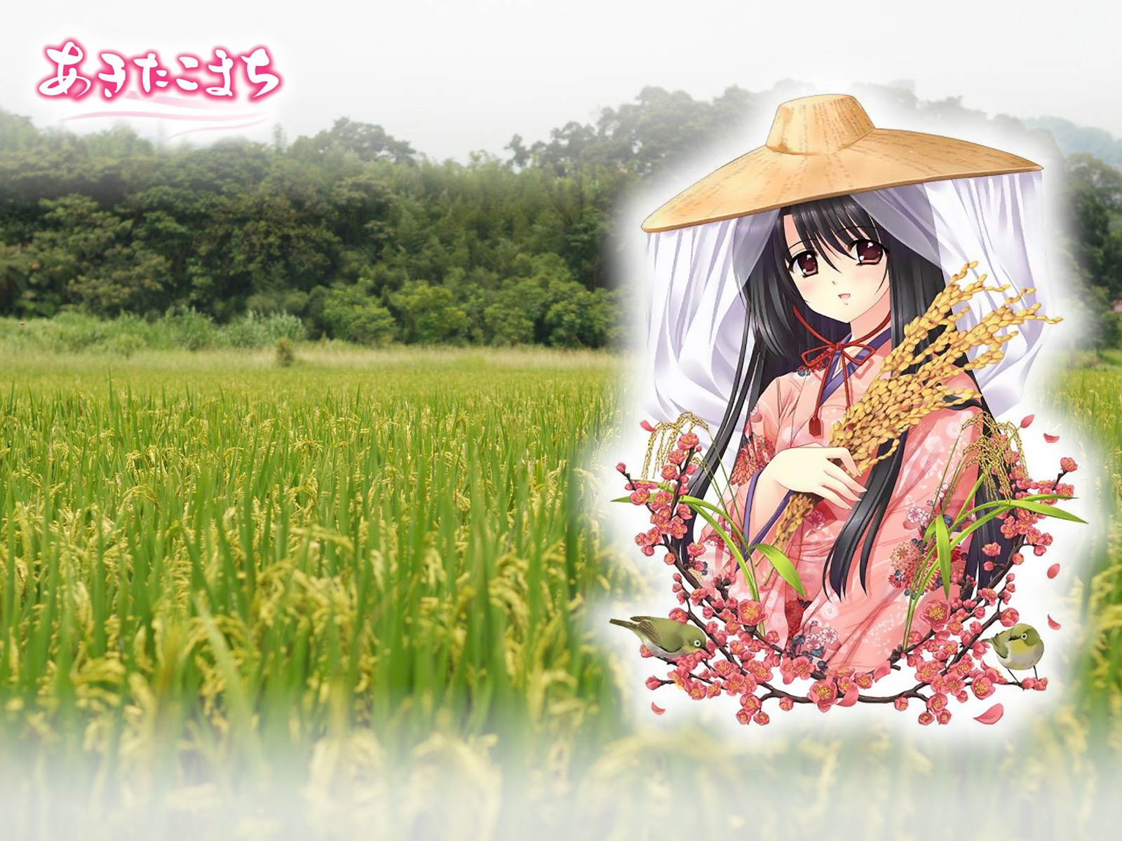 akita_komachi, nishimata_aoi