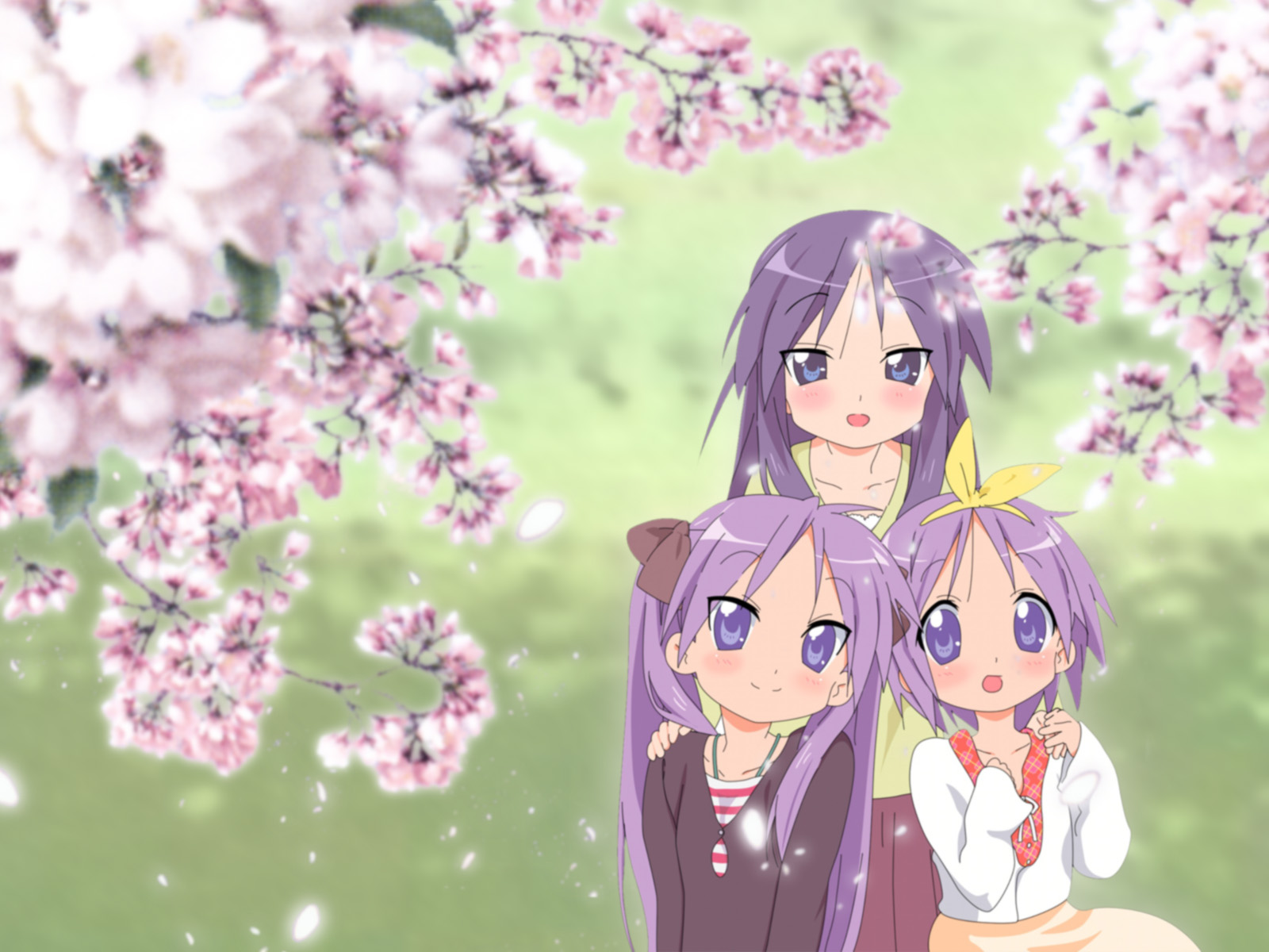 cherry_blossoms, flowers, hiiragi_kagami, hiiragi_miki, hiiragi_tsukasa, lucky_star