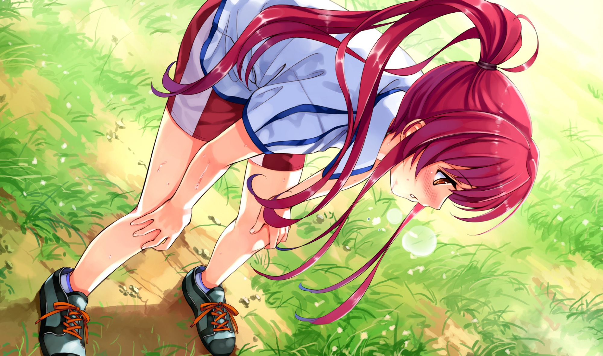abhar, bike_shorts, blush, deep_blue_sky_&_pure_white_wings, game_cg, grass, long_hair, misaki_kurehito