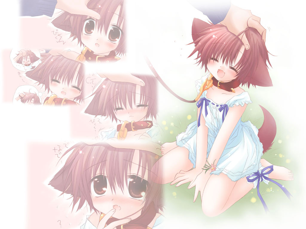 collar, doggirl, hinata_(pure_pure), pure_pure, ribbons, sakurazawa_izumi