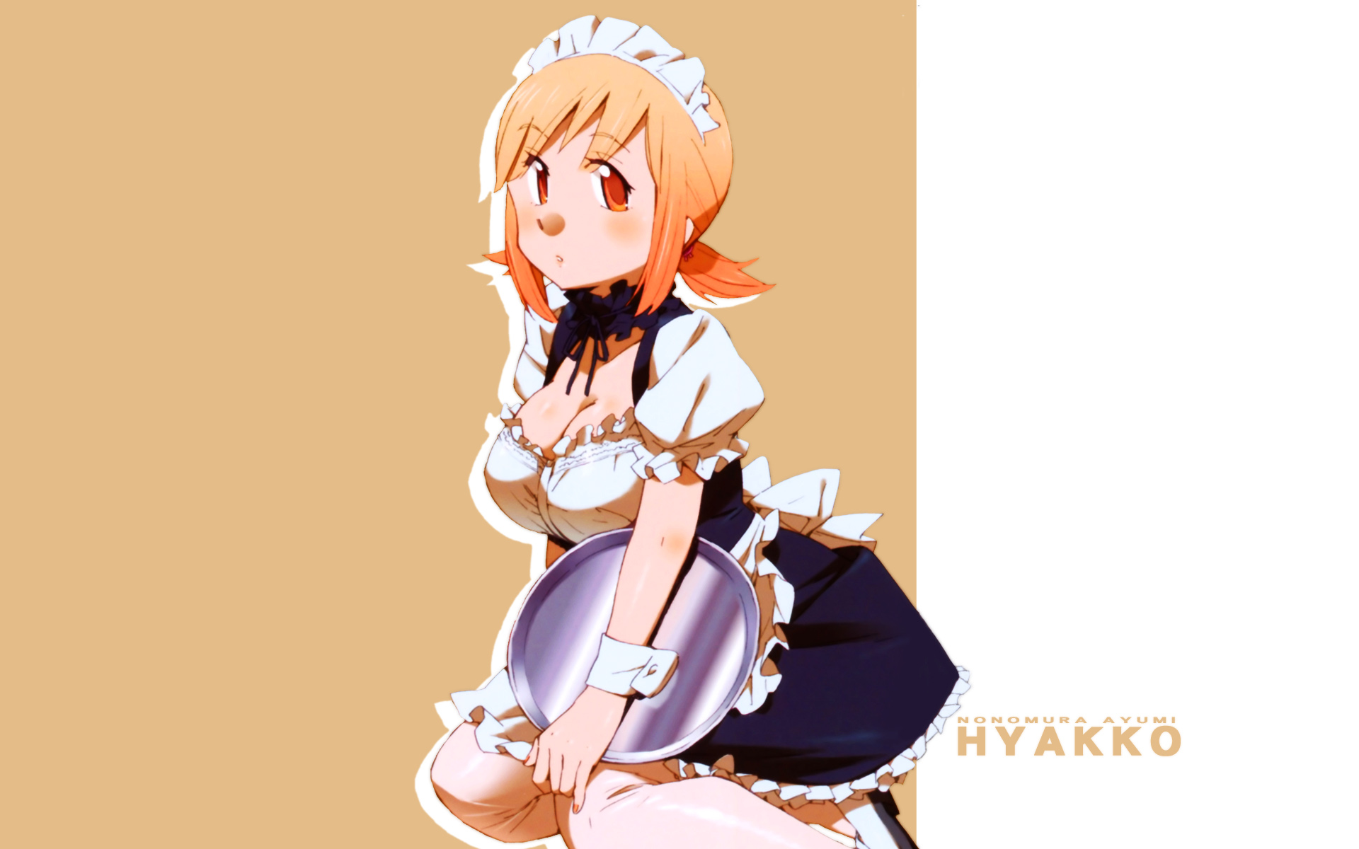 hyakko, nonomura_ayumi, waitress