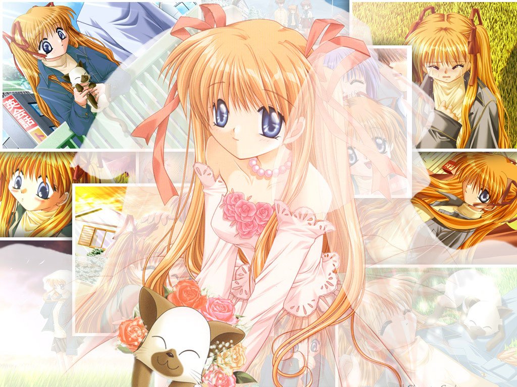 animal, cat, kanon, key, piro, sawatari_makoto, wedding