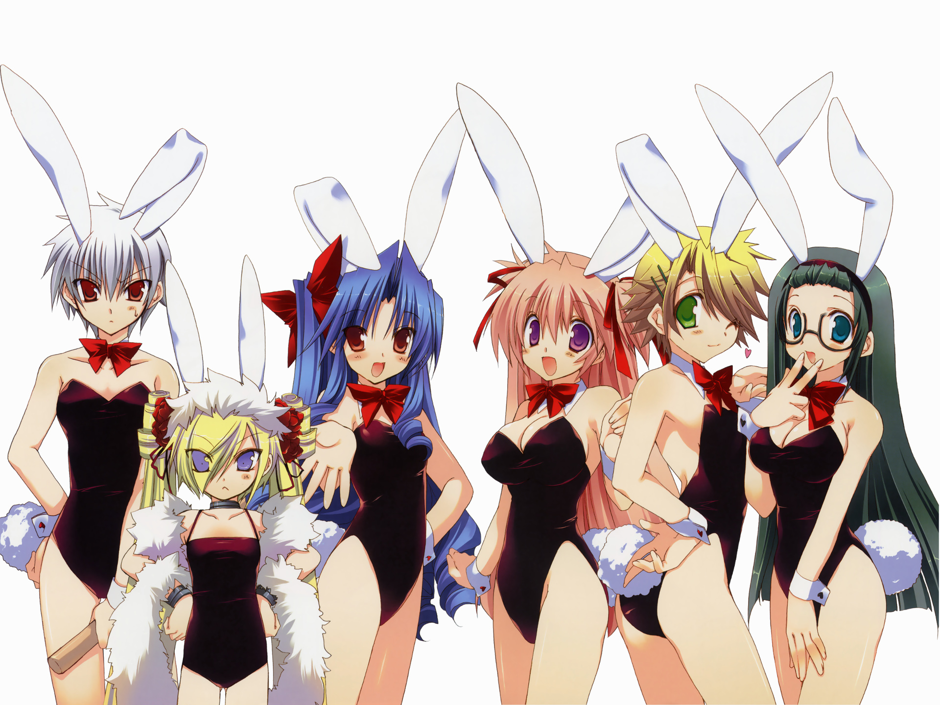 animal_ears, ayakawa_hinako, bunny_ears, bunnygirl, demon, goshuushou-sama_ninomiya-kun, houjou_reika, kirishima_shinobu, leotard, loli, okushiro_irori, succubus, takanae_kyourin, tsukimura_mayu, white