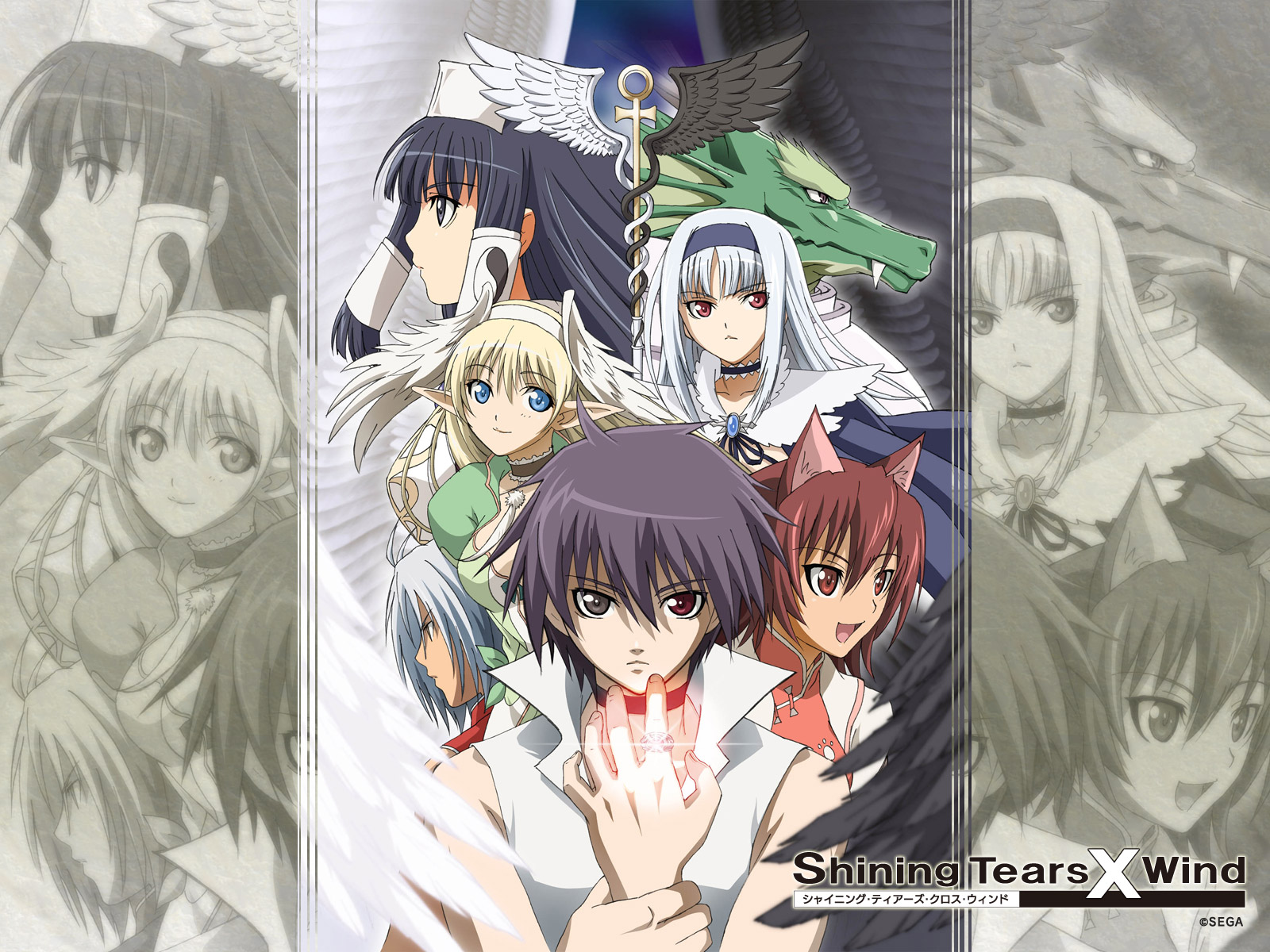 pointed_ears, shining_tears_x_wind, tagme