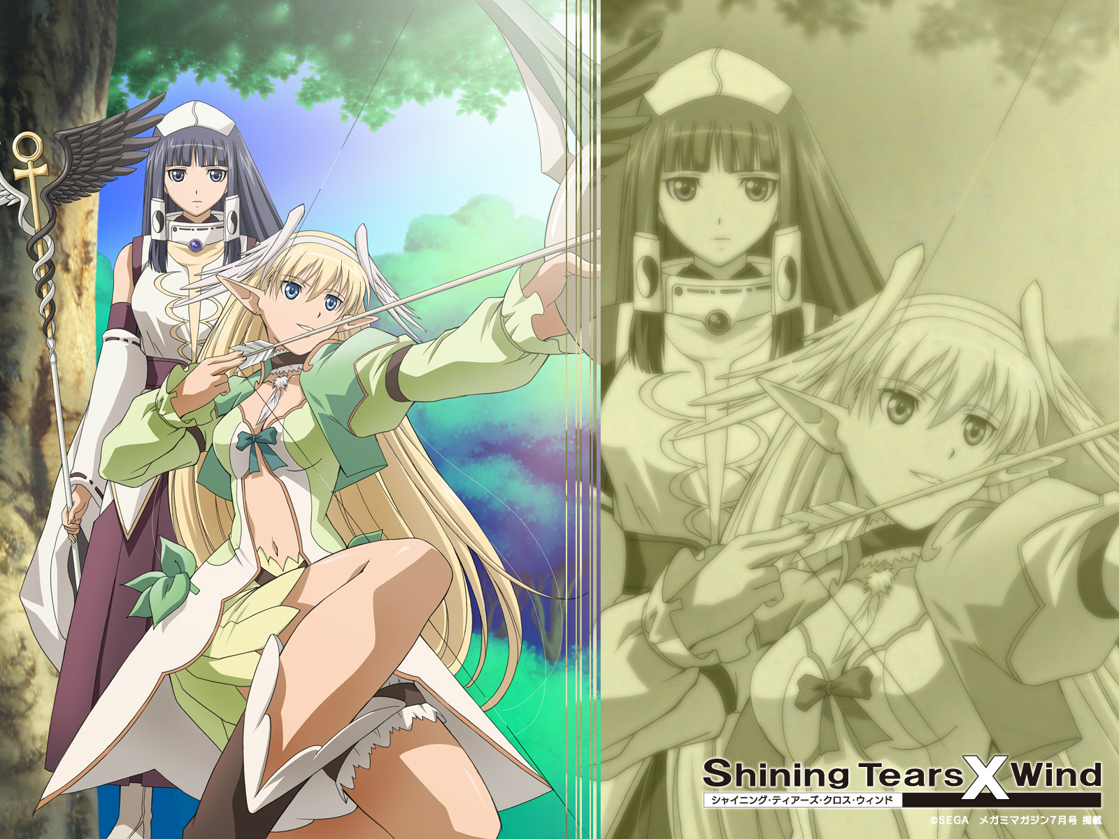 pointed_ears, shining_tears_x_wind, tagme