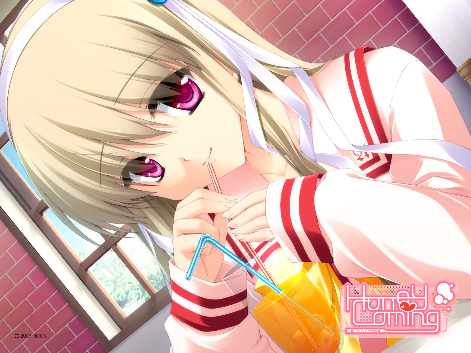 clarissa_satsuki_maezono, honey_coming