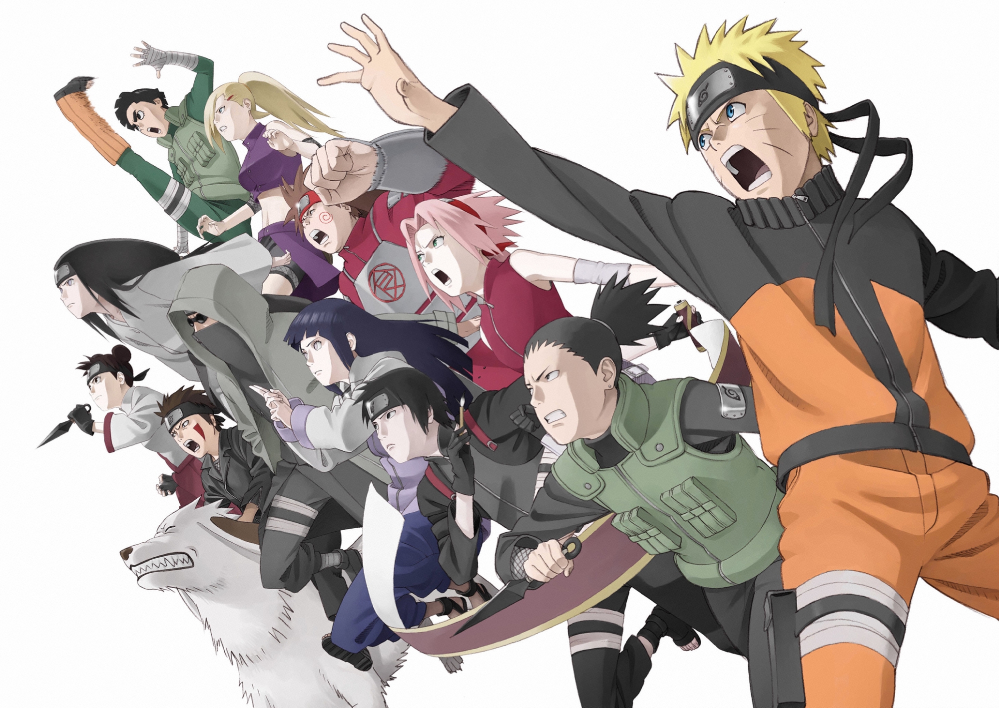 aburame_shino, haruno_sakura, hyuuga_hinata, hyuuga_neji, inuzuka_kiba, male, nara_shikamaru, naruto