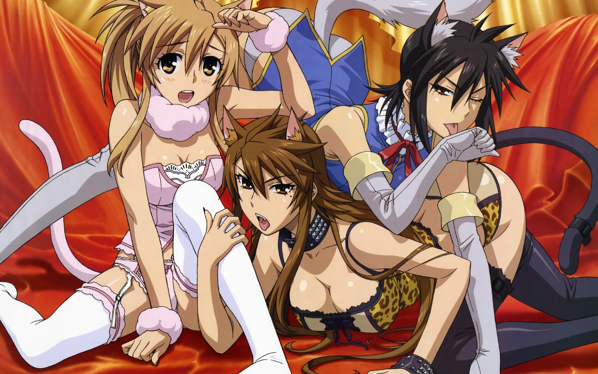animal_ears, ichinose_nagi, megami, mizuno_kaede, nyan_koi!, scan, sumiyoshi_kanako, tail