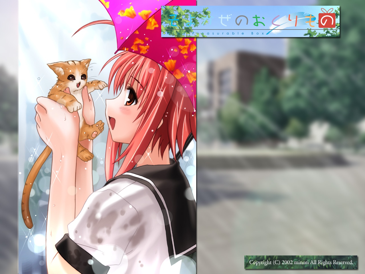 animal, brown_eyes, cat, okano_hinata, umbrella, wind:_a_breath_of_heart