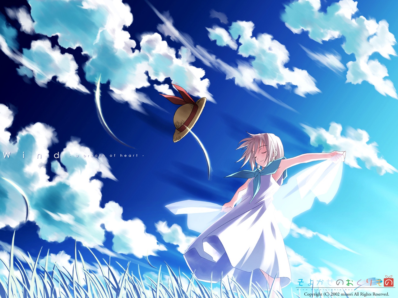 blue, hat, tsukishiro_hikari, wind:_a_breath_of_heart