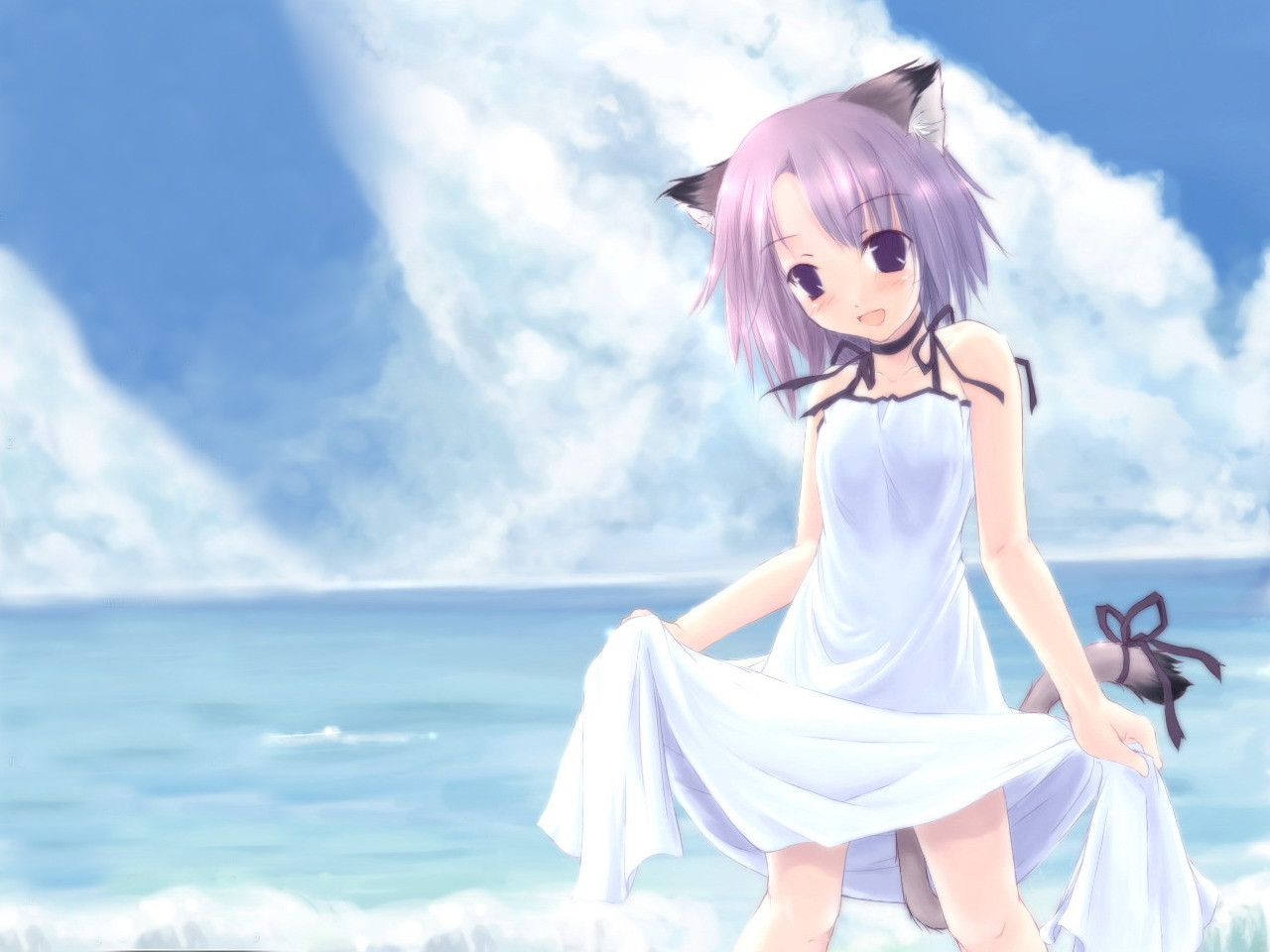 animal_ears, beach, blush, catgirl, dress, original, purple_eyes, purple_hair, ribbons, sky, tail, water, yukitaro