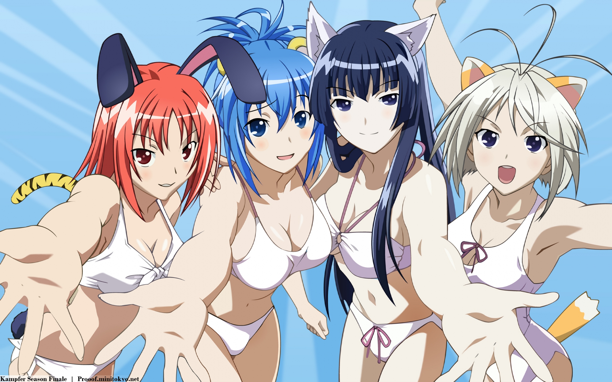 animal_ears, bikini, bunny_ears, bunnygirl, catgirl, foxgirl, genderswap, kampfer, kondou_mikoto, mishima_akane, sangou_shizuku, senou_natsuru, swimsuit