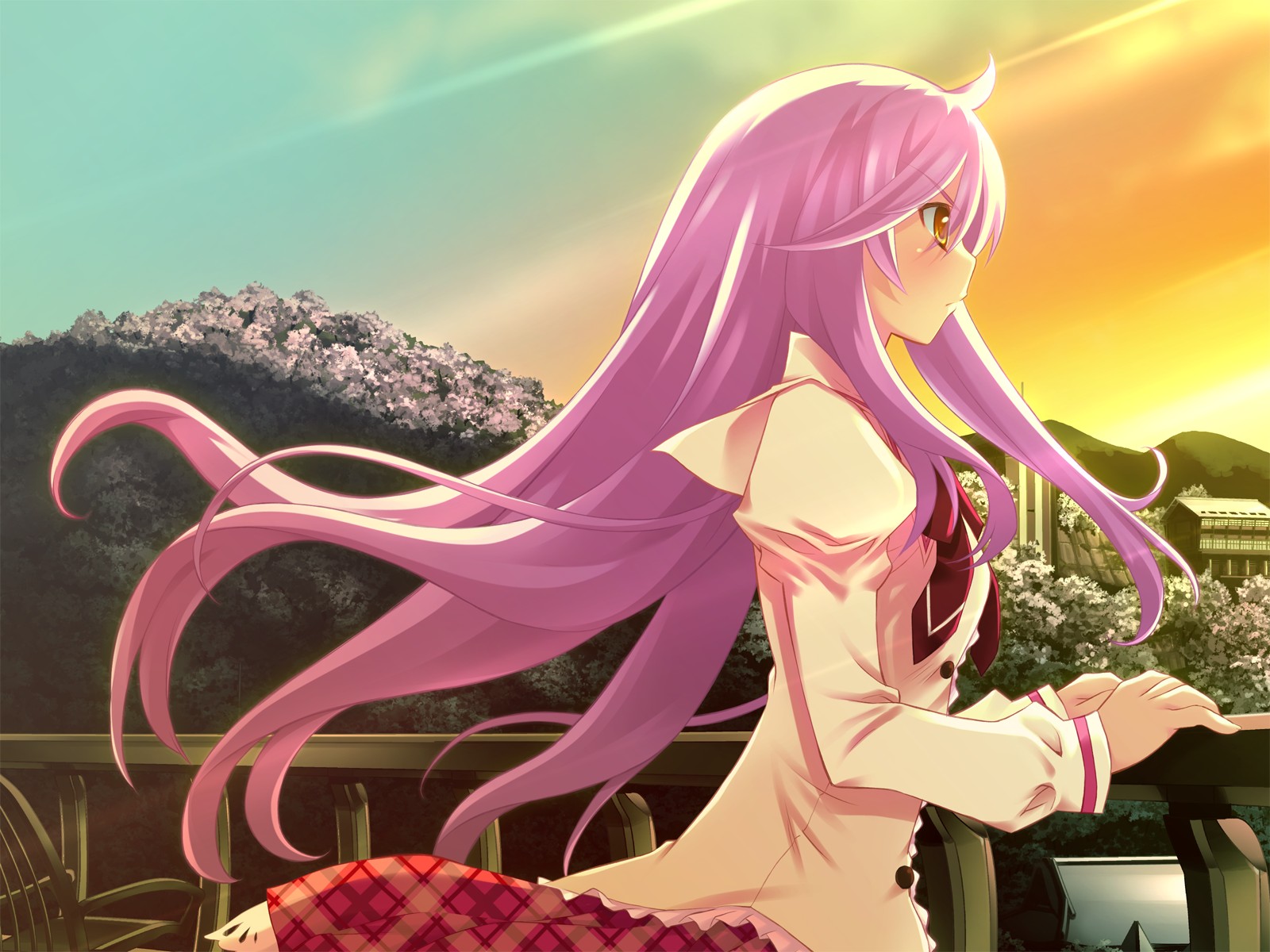 game_cg, hanafubuki, miyano_shion, purple_hair, school_uniform, sunset, yellow_eyes