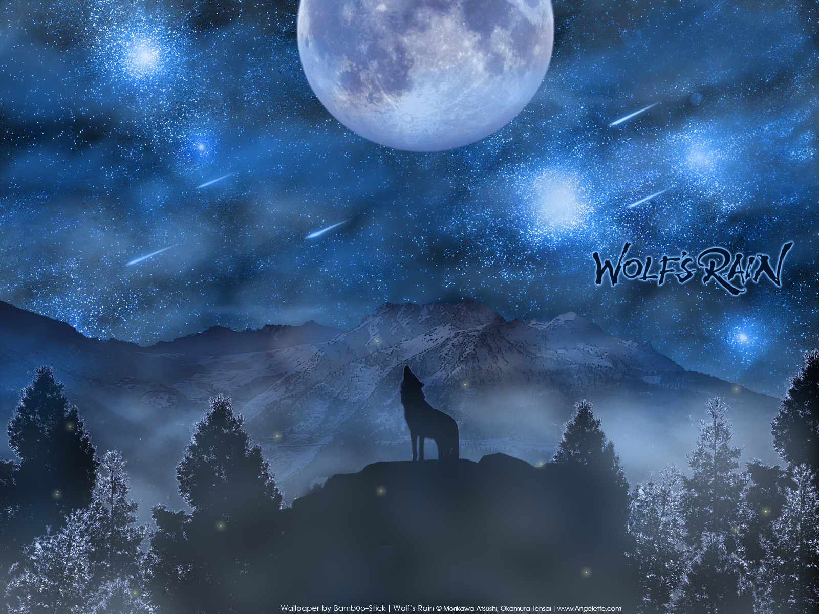 animal, moon, sky, space, stars, tree, wolf, wolfs_rain
