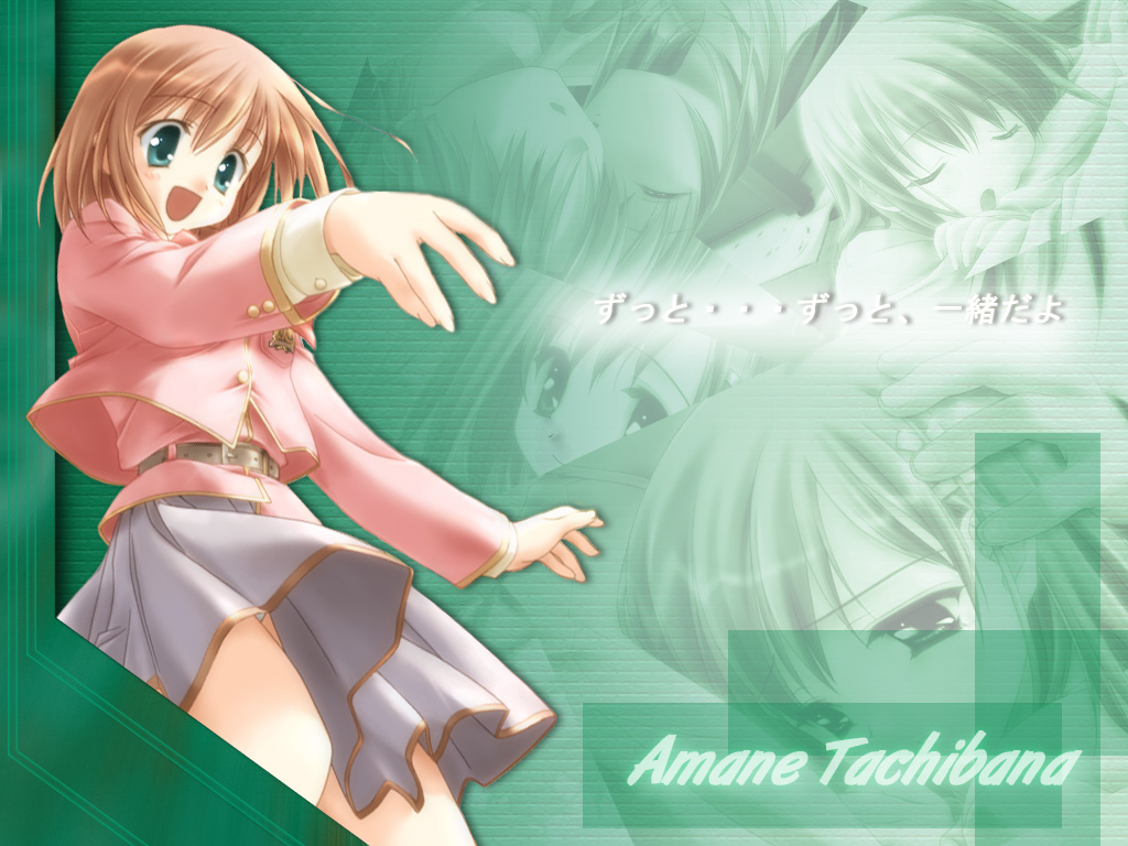 canvas, tachibana_amane