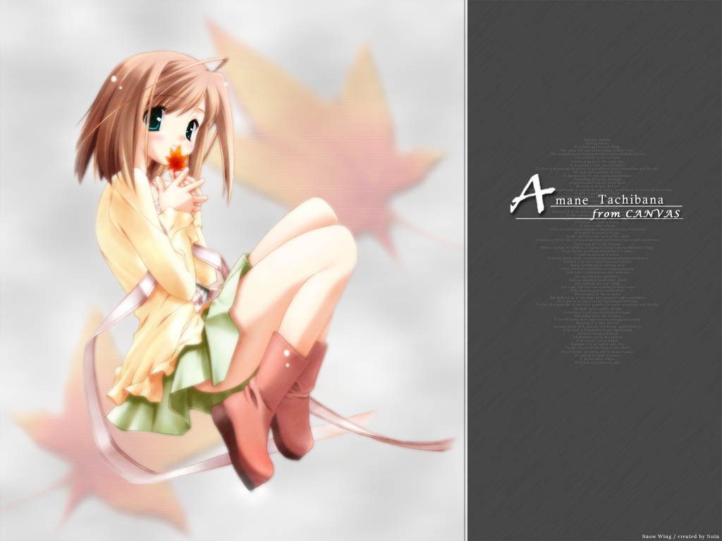 canvas, tachibana_amane