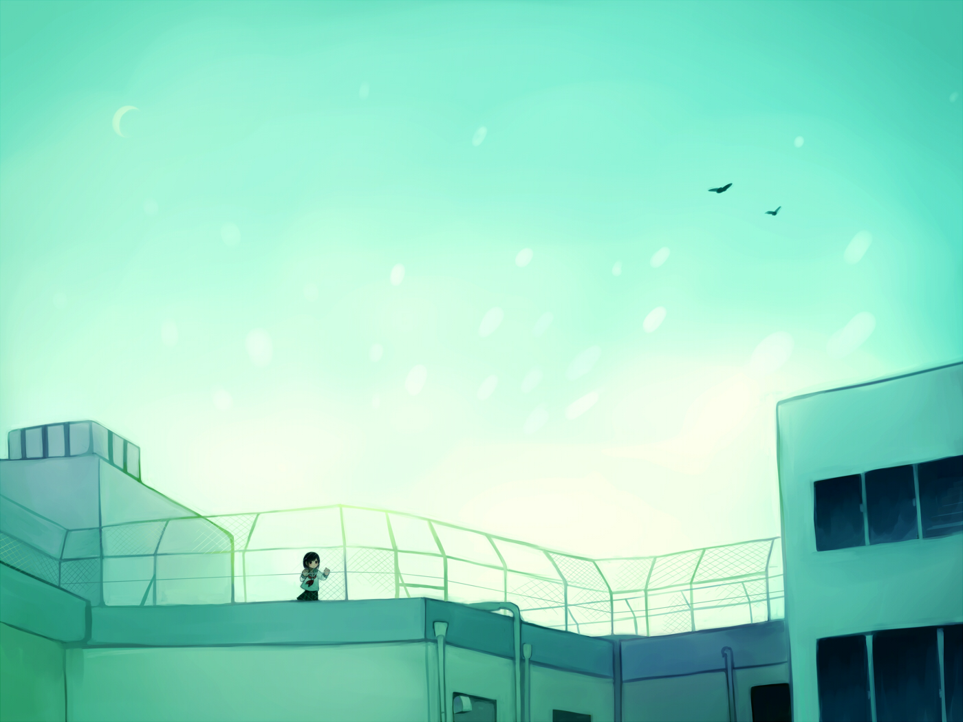 animal, bird, black_eyes, black_hair, moon, original, polychromatic, rooftop, school_uniform, short_hair, skirt, sky, tamayo