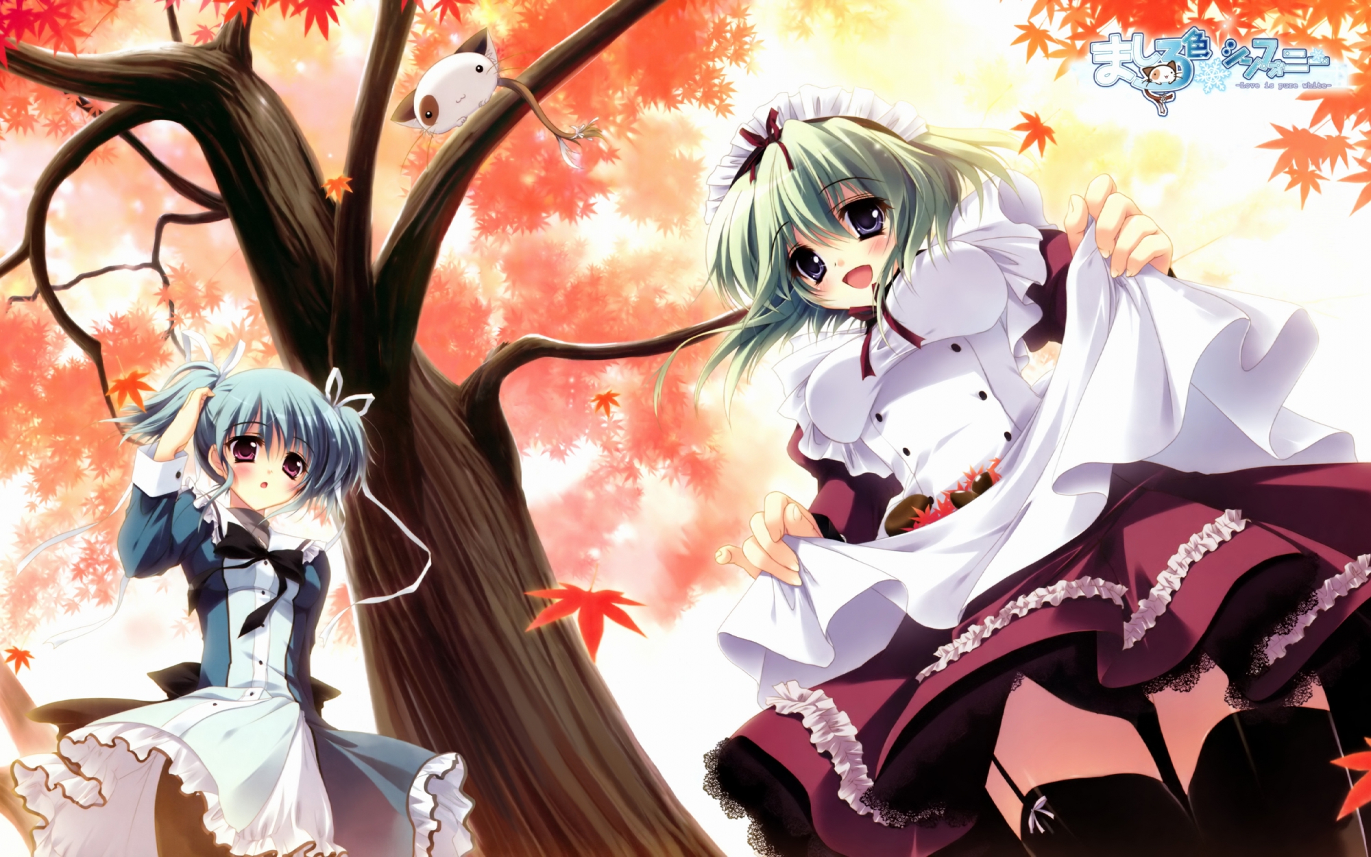 2girls, angelina_nanatsu_sewell, blush, garter, izumi_tsubasu, maid, mashiroiro_symphony, uryu_sakuno