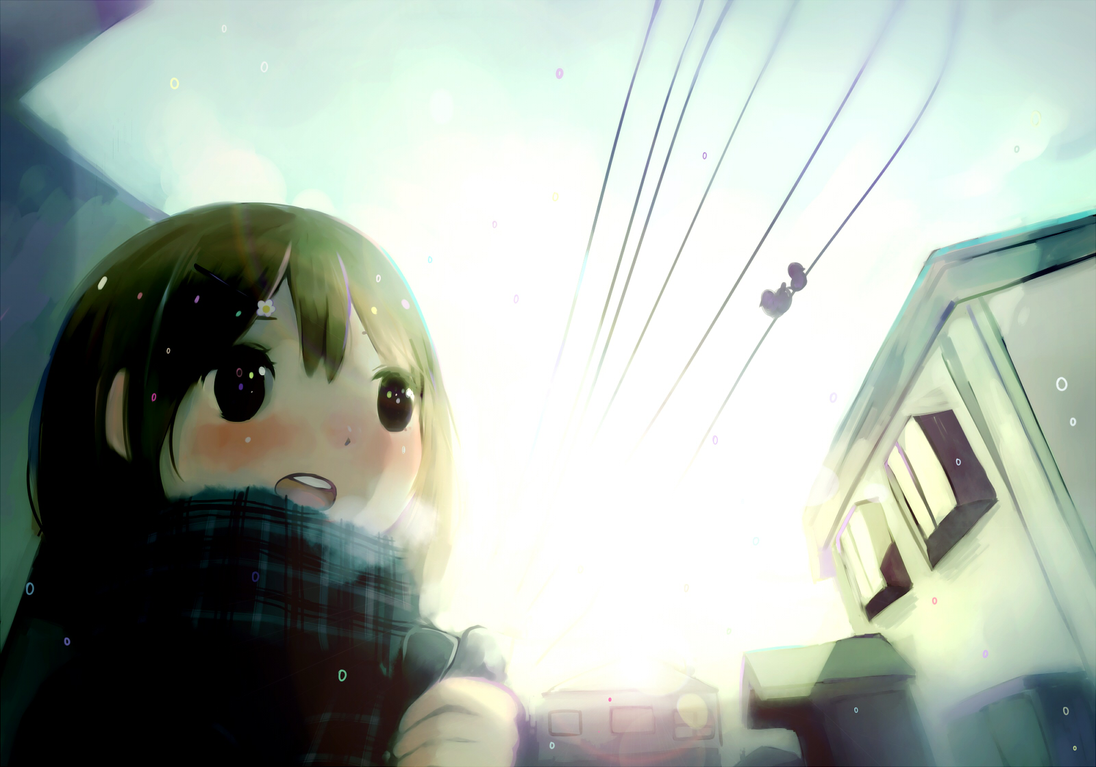 brown_eyes, brown_hair, original, scarf, tamayo