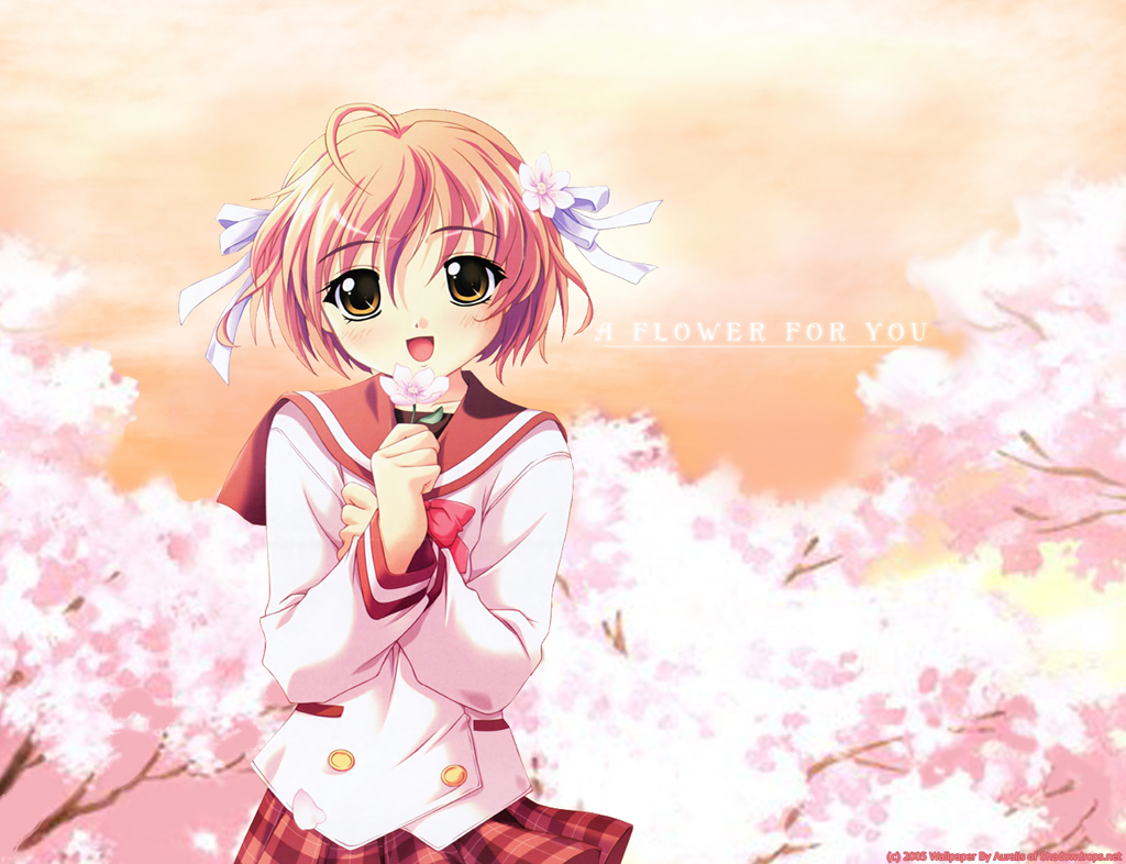 hatsukoi, loli, sakurai_komono