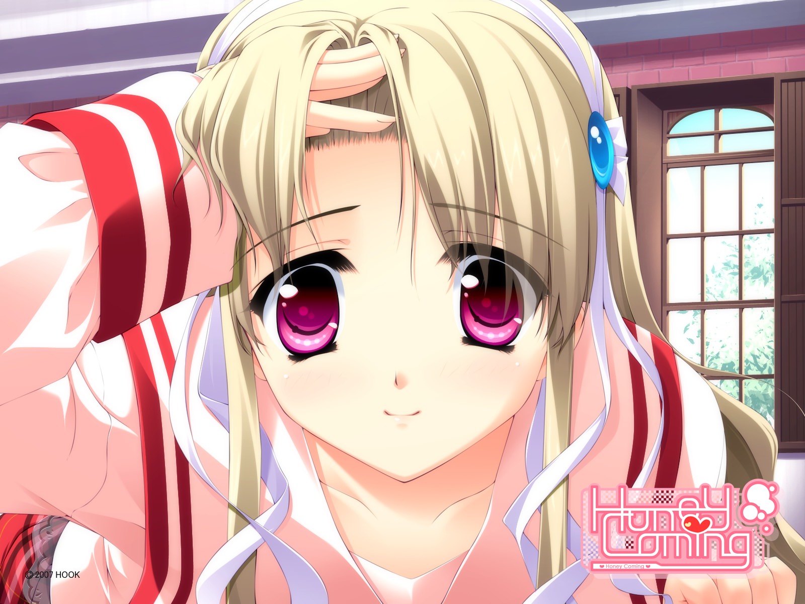 clarissa_satsuki_maezono, honey_coming