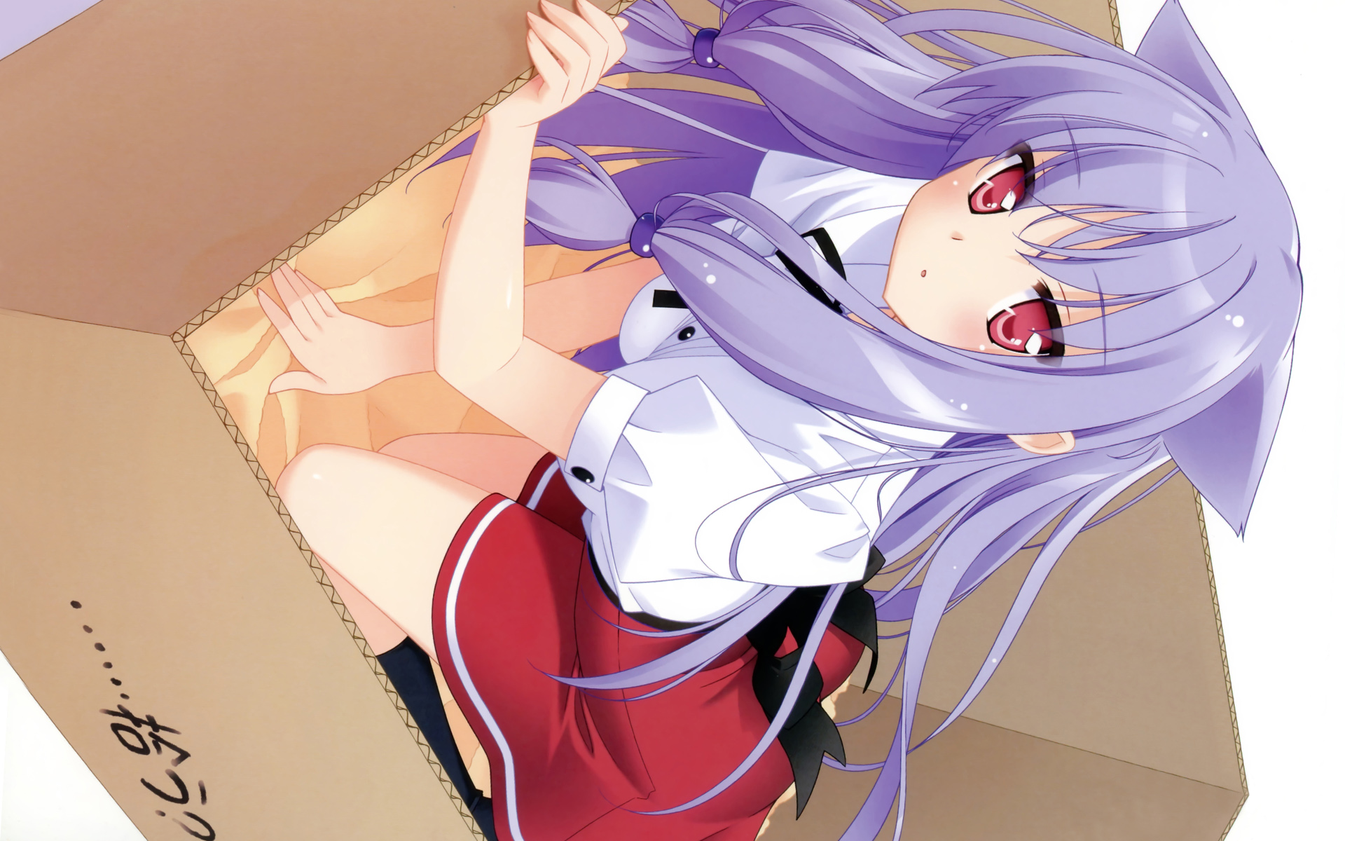kani_biimu, kiriya_nozomi, mayoi_neko_overrun!