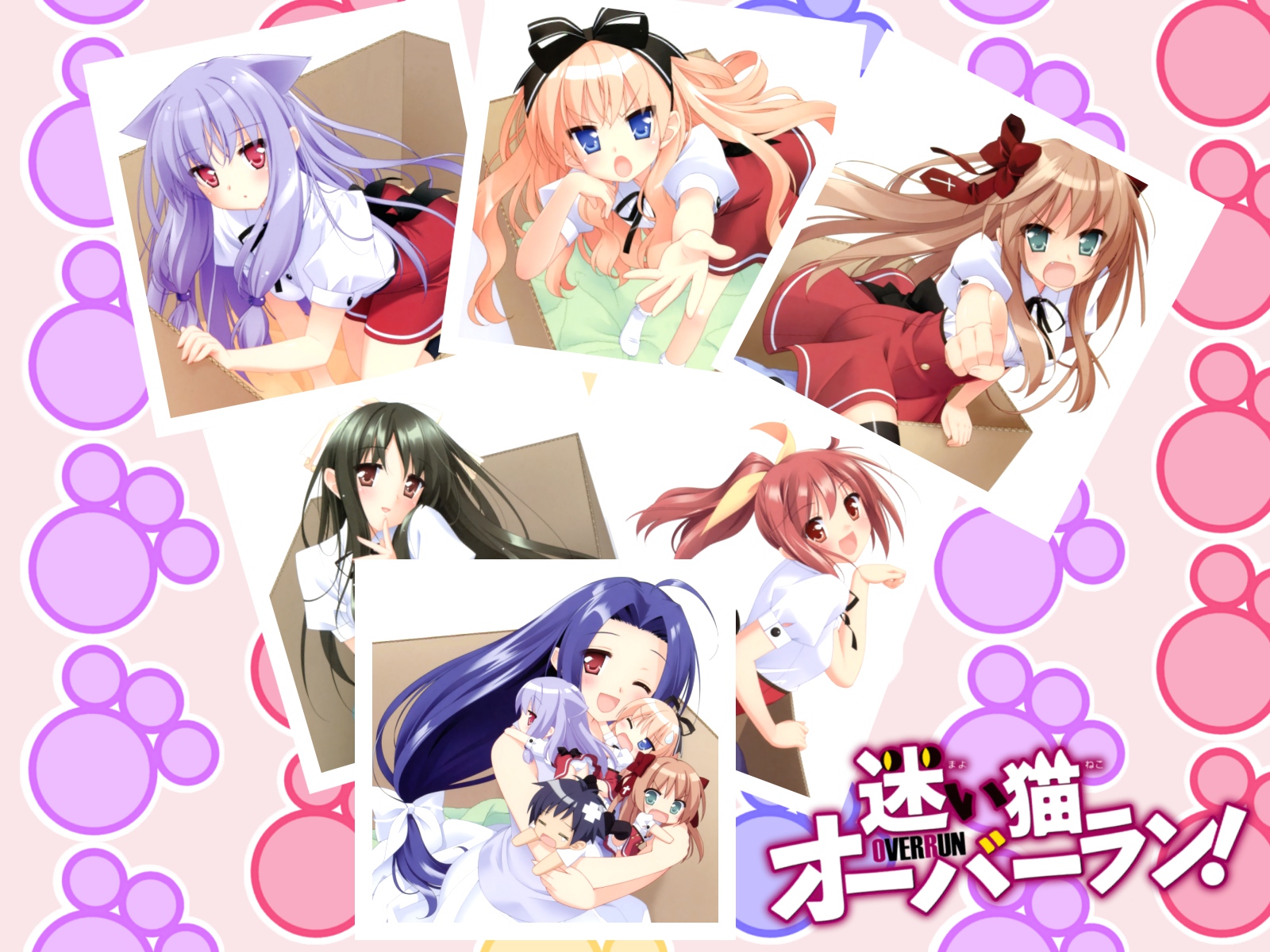 animal_ears, catgirl, chikumaen_kaho, kani_biimu, kiriya_nozomi, mayoi_neko_overrun!, naruko_kanae, serizawa_fumino