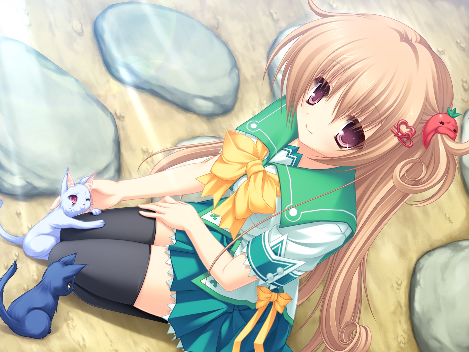 animal, brown_eyes, brown_hair, cat, long_hair, mikagami_mamizu, neko_koi, ribbons