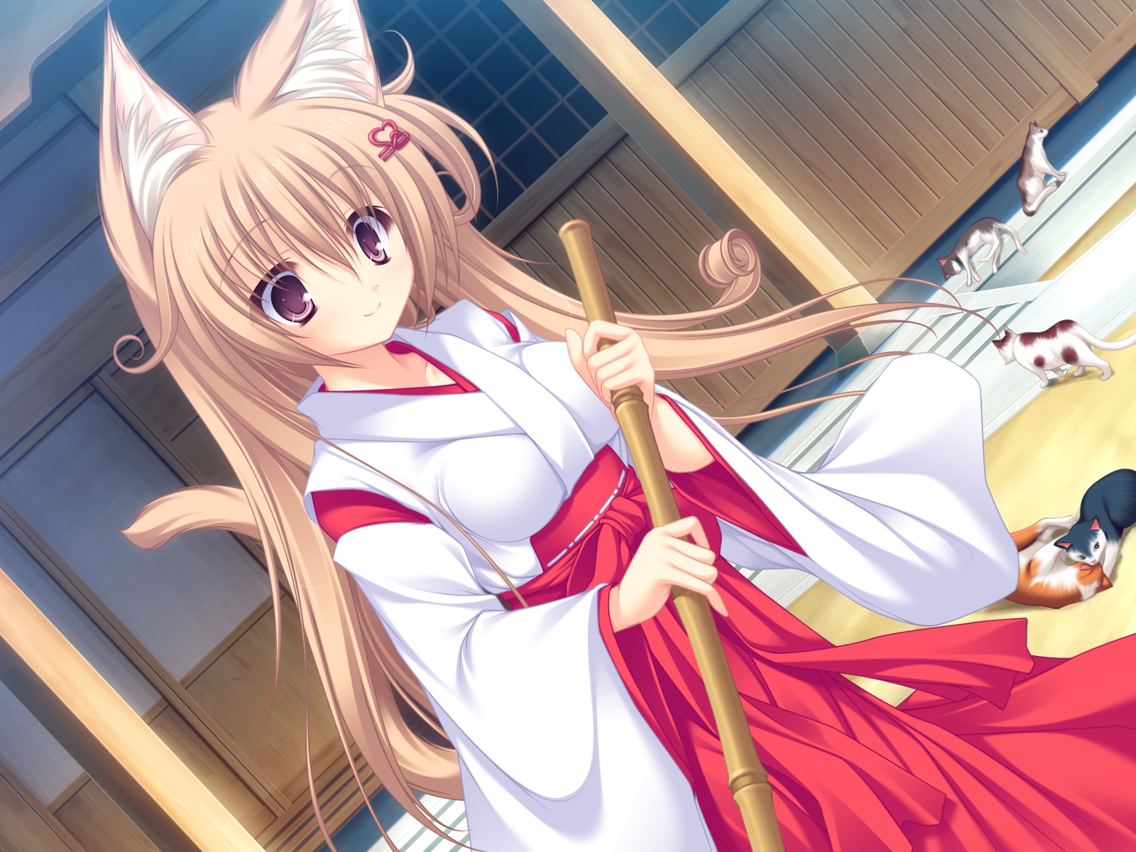 animal, animal_ears, cat, catgirl, game_cg, japanese_clothes, mikagami_mamizu, miko, neko_koi, ryuudou_misaki, whirlpool