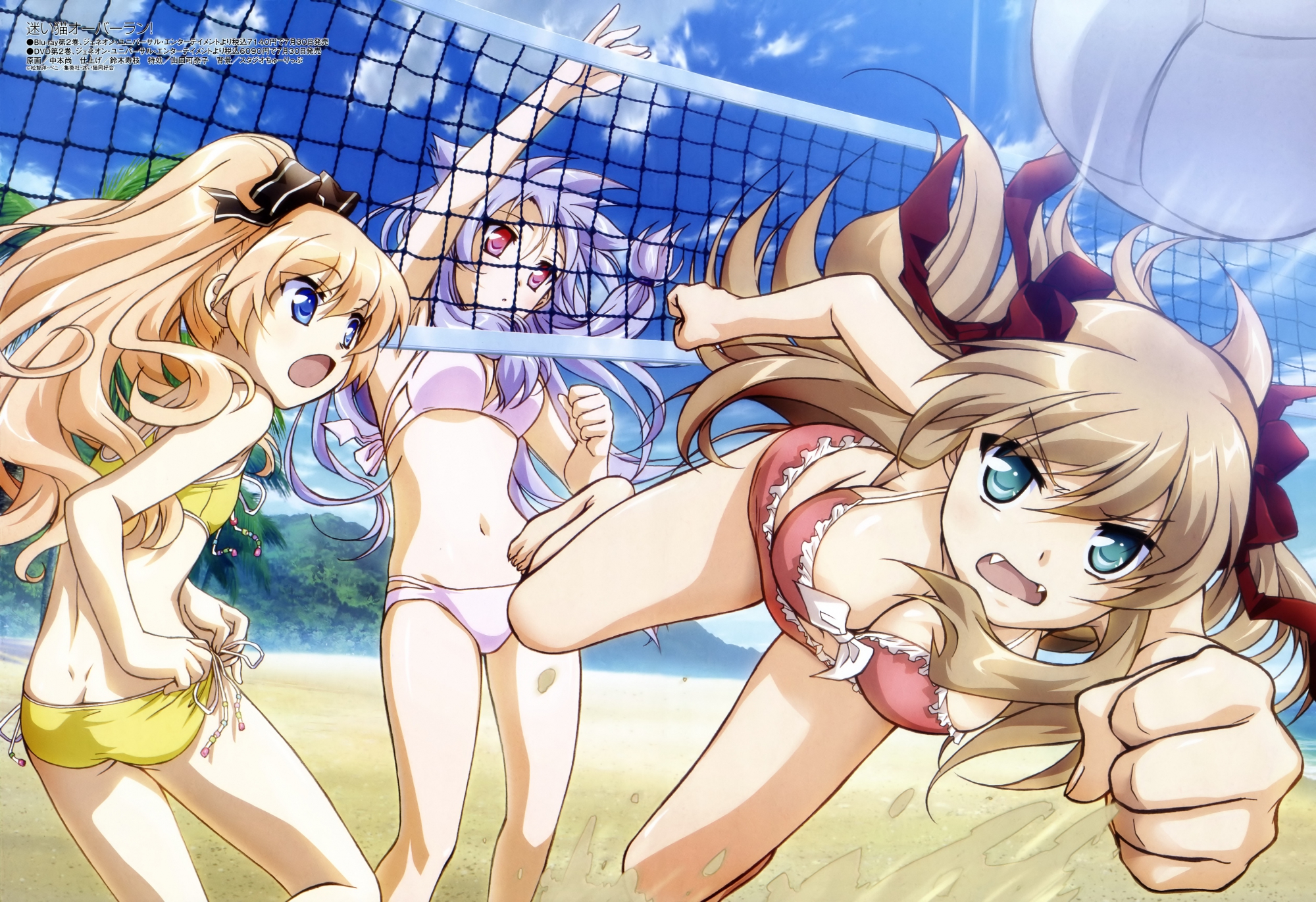 animal_ears, ball, beach, bikini, breasts, catgirl, cleavage, fang, kiriya_nozomi, mayoi_neko_overrun!, nakamoto_naoko, scan, serizawa_fumino, sport, swimsuit, umenomori_chise, volleyball