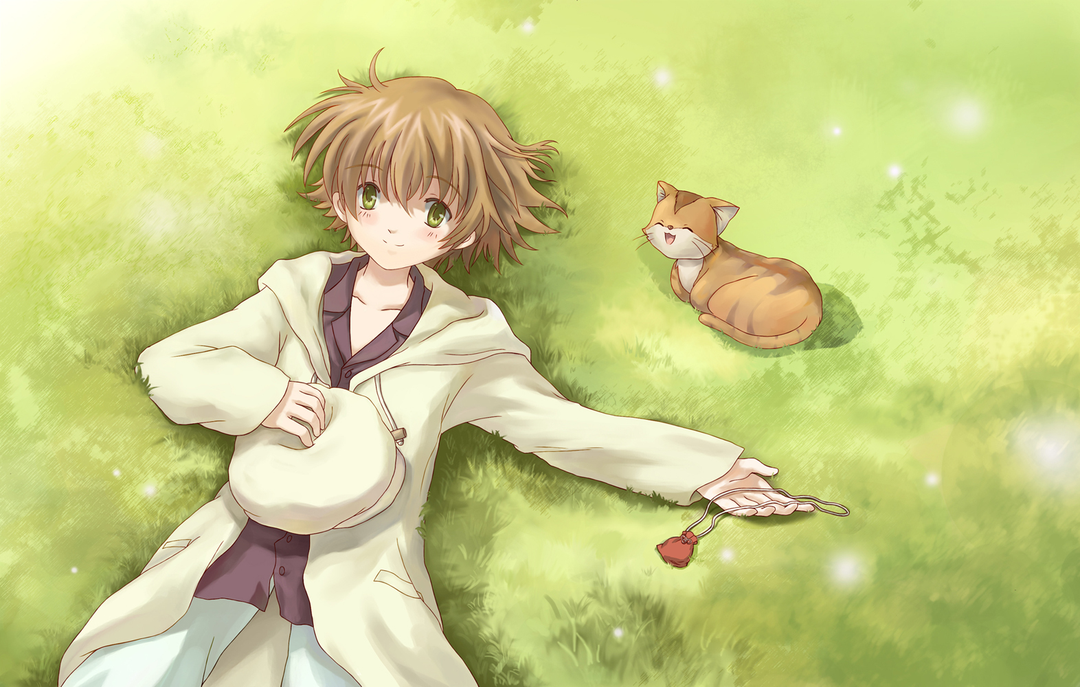 animal, brown_hair, cat, clannad, grass, green_eyes, hat, shima_katsuki, short_hair