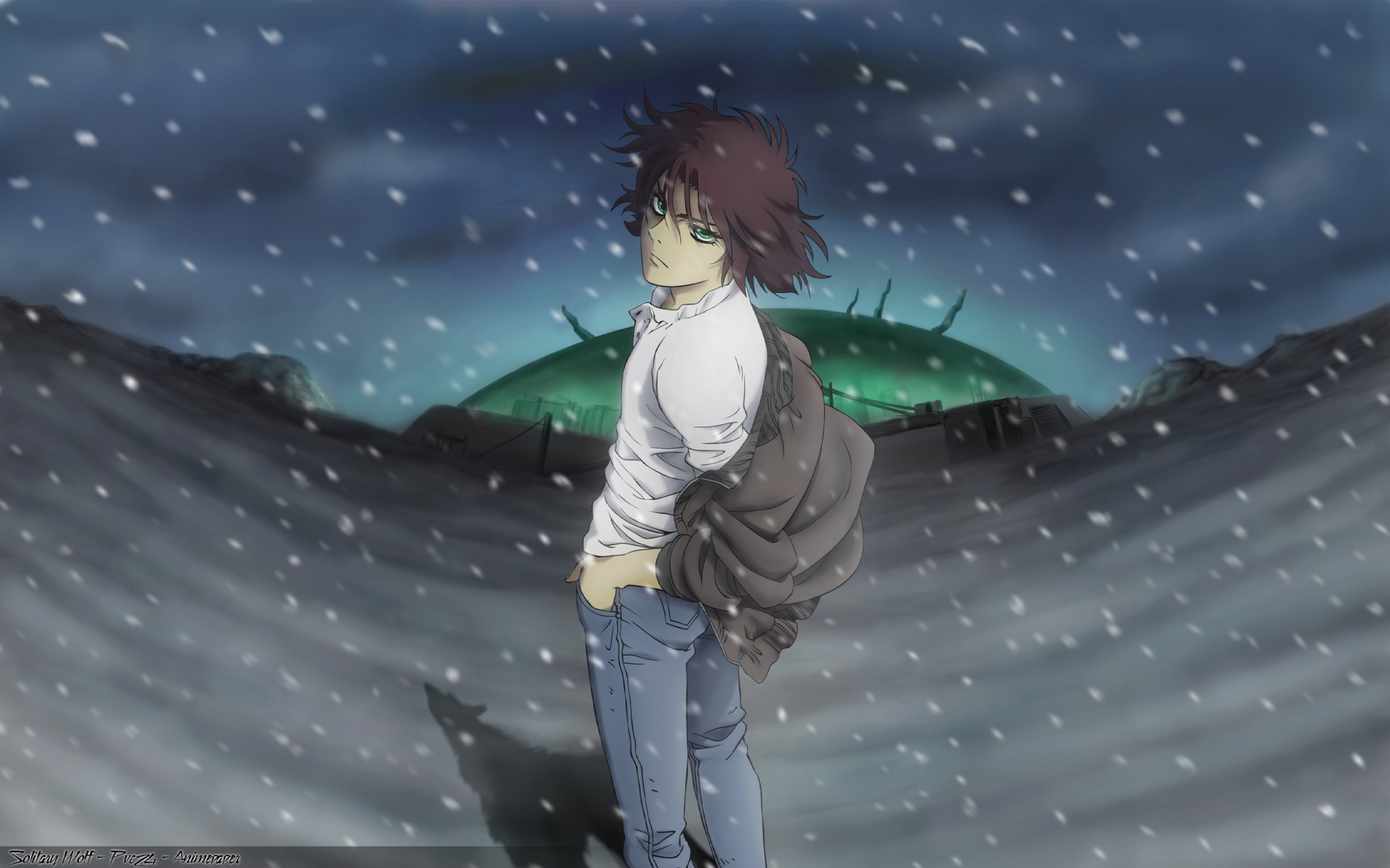 brown_hair, green_eyes, kiba, snow, wolfs_rain