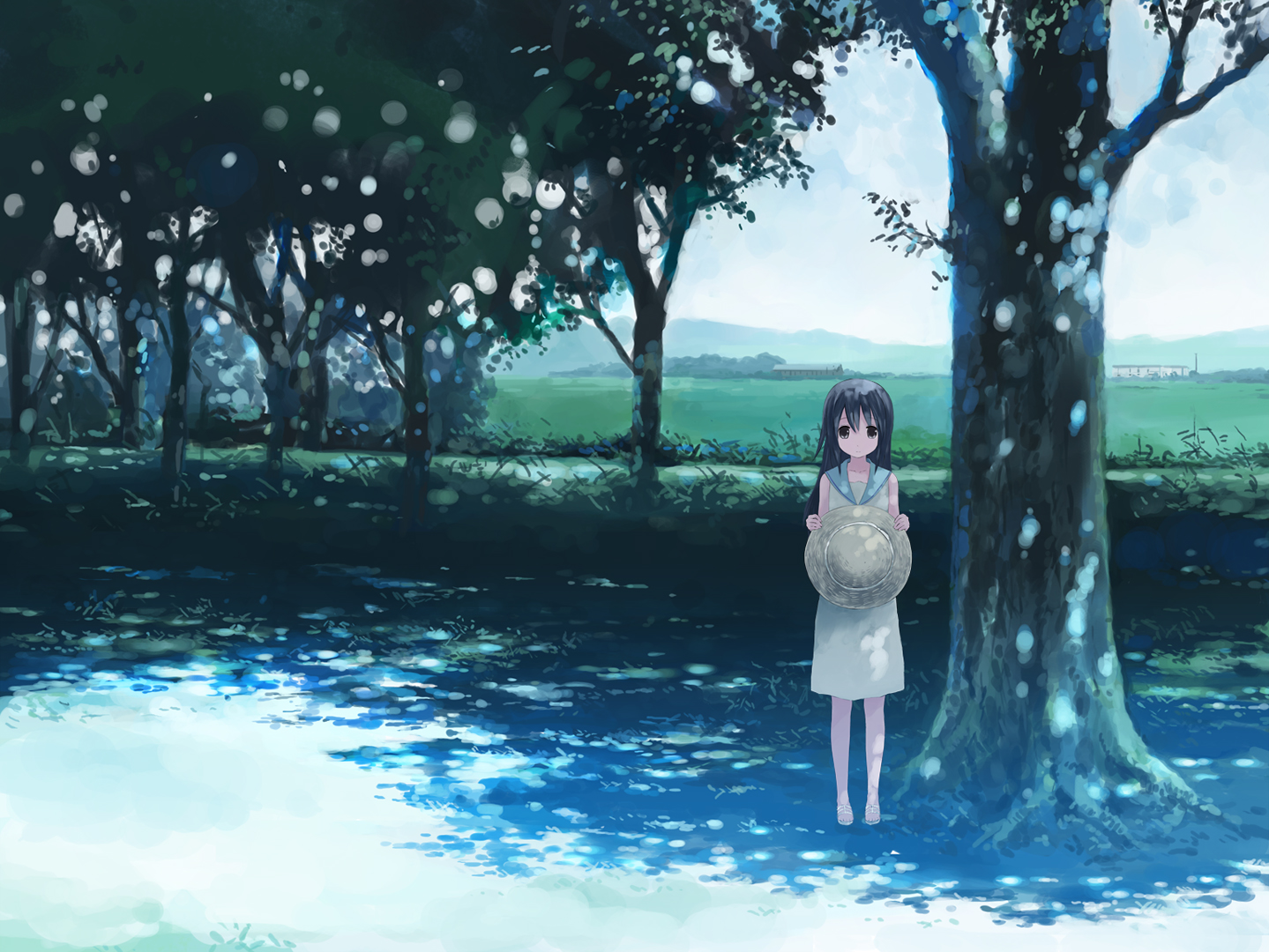 dress, isou_nagi, landscape, scenic