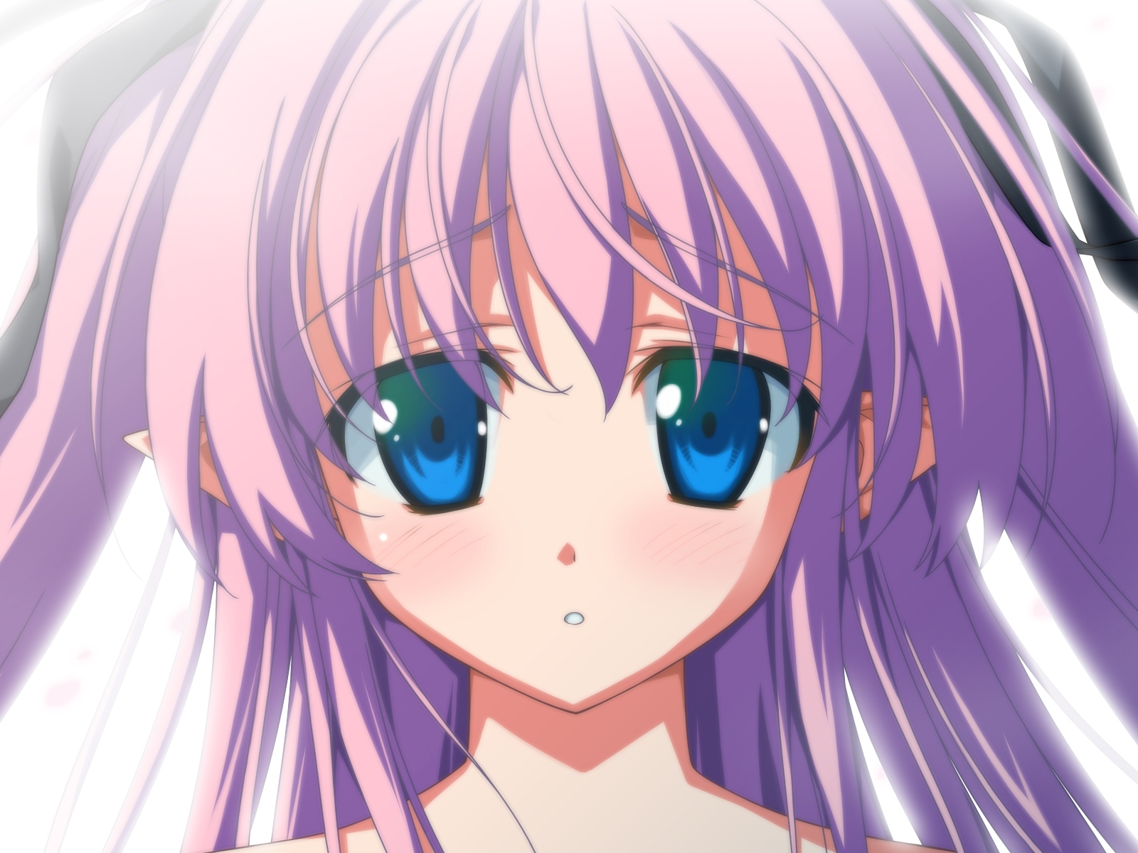 blue_eyes, blush, charlott_camile_herlingum, close, pointed_ears, wiz_anniversary