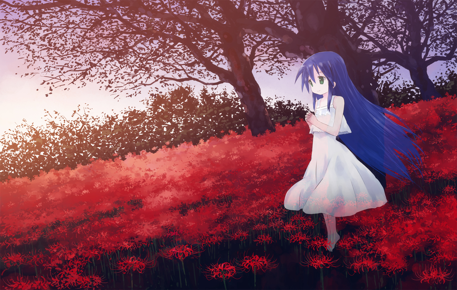 barefoot, blue_hair, dress, flowers, isou_nagi, izumi_kanata, lucky_star