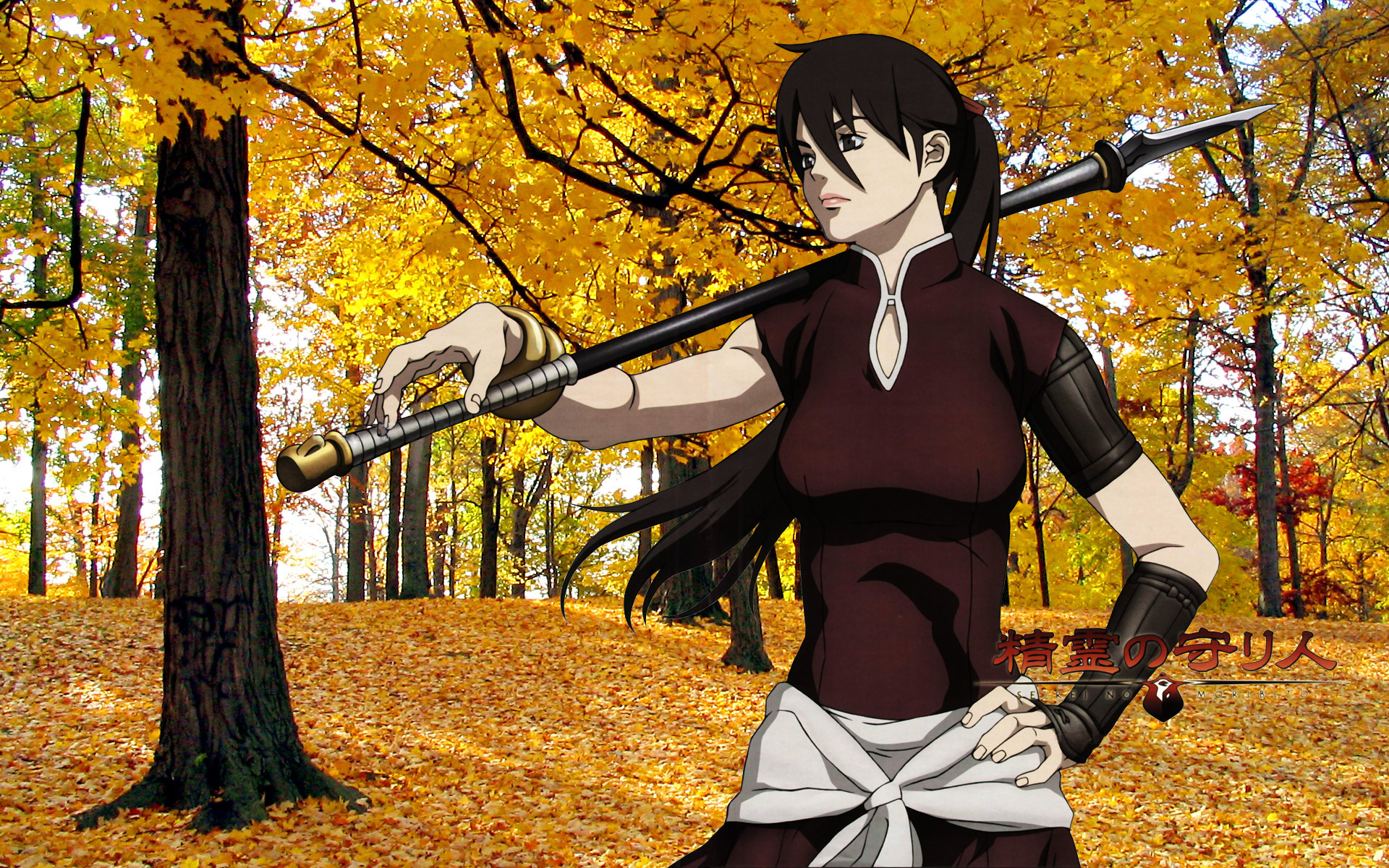balsa, seirei_no_moribito, spear, tree, weapon