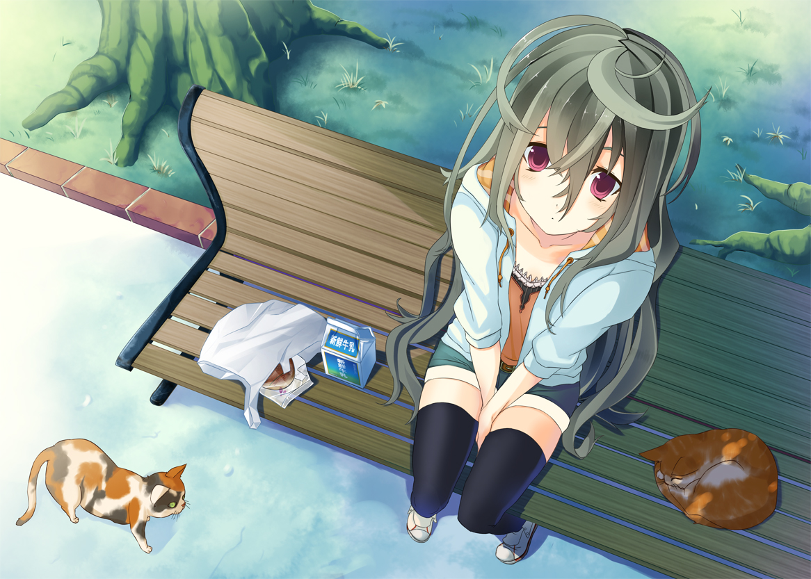 animal, cat, food, gray_hair, long_hair, minoinomi, original, red_eyes, thighhighs