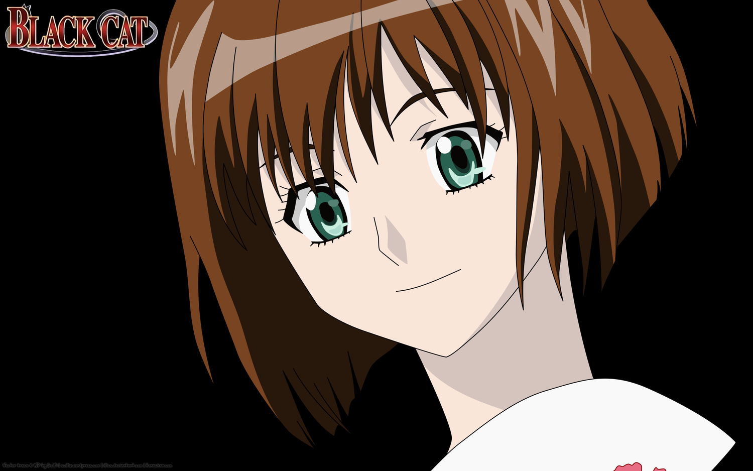 black_cat, minatsuki_saya, transparent, vector