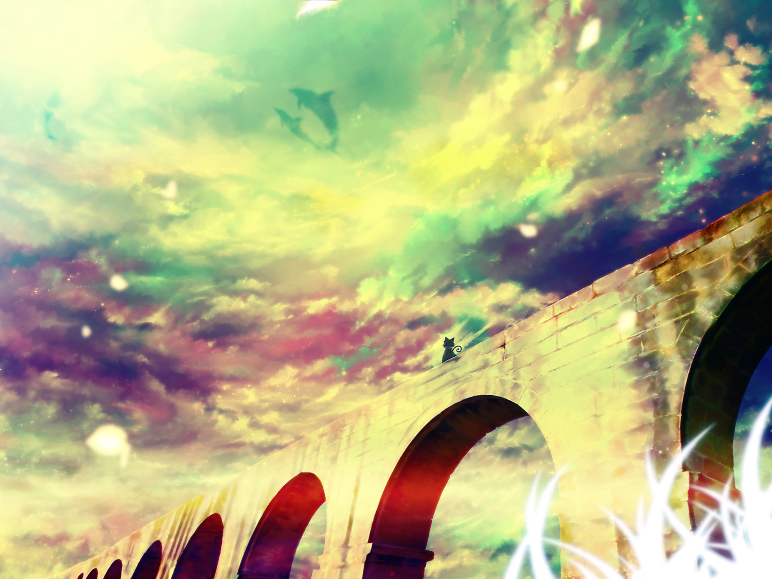 animal, cat, clouds, dolphin, scenic, sky, tagme, ukihashi