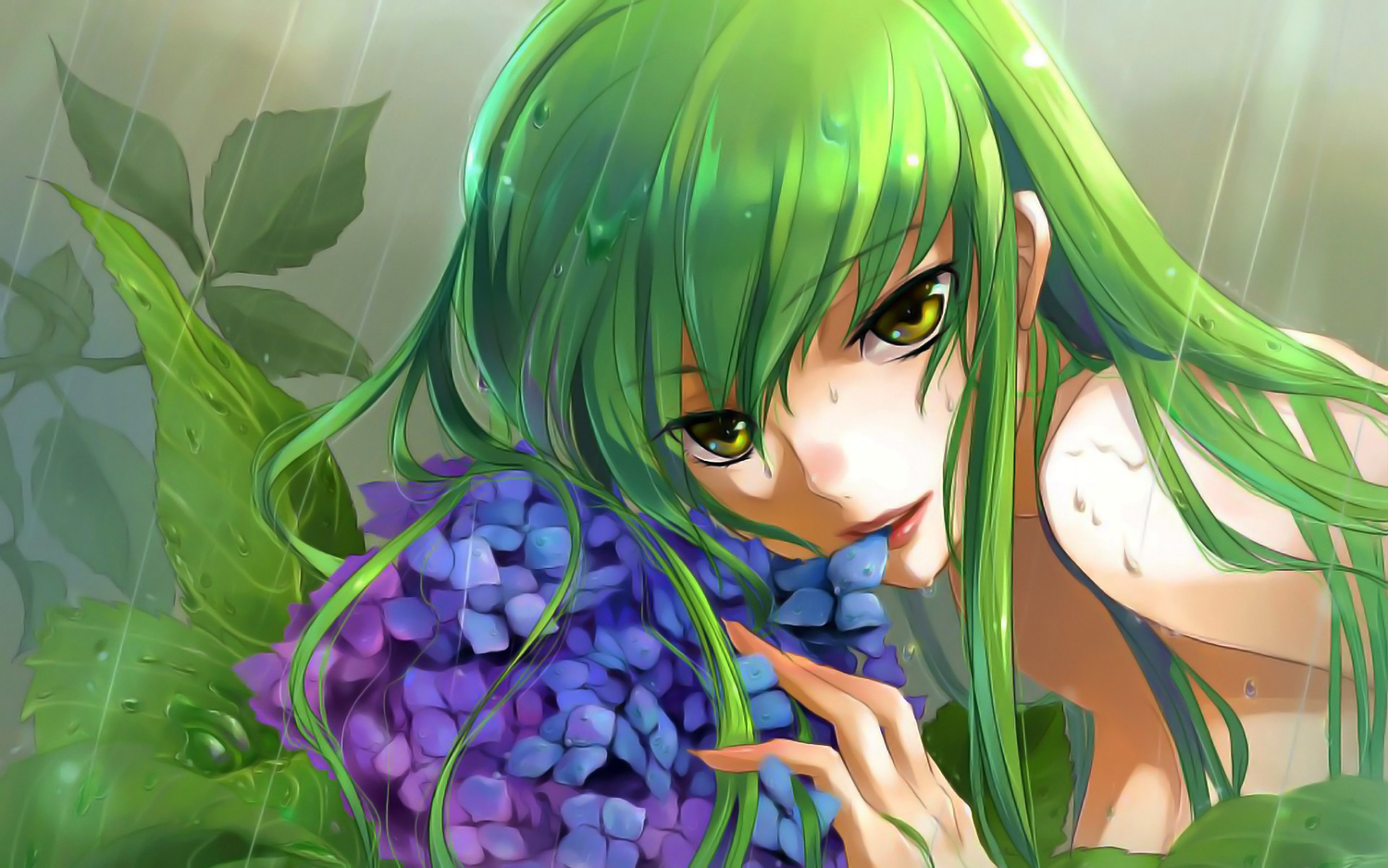 cc, code_geass, flowers, green_hair, isumimax, jpeg_artifacts, wet