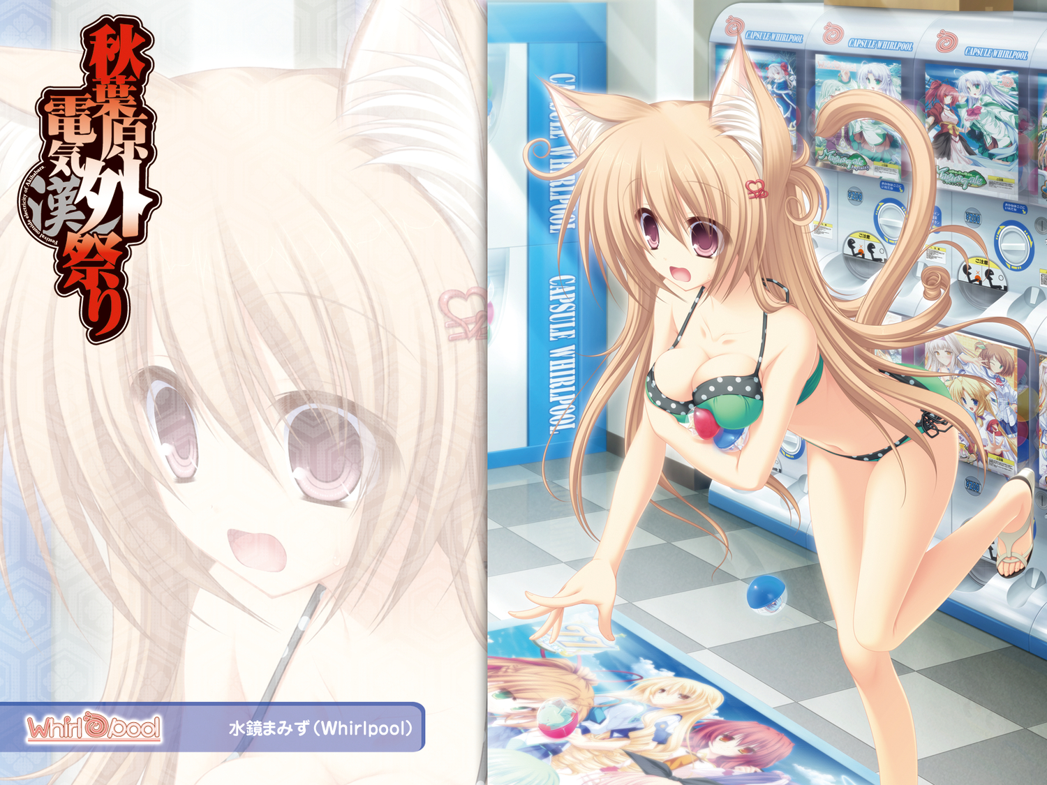 animal_ears, bikini, brown_hair, catgirl, long_hair, mikagami_mamizu, neko_koi, purple_eyes